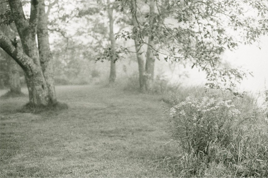 Idyll