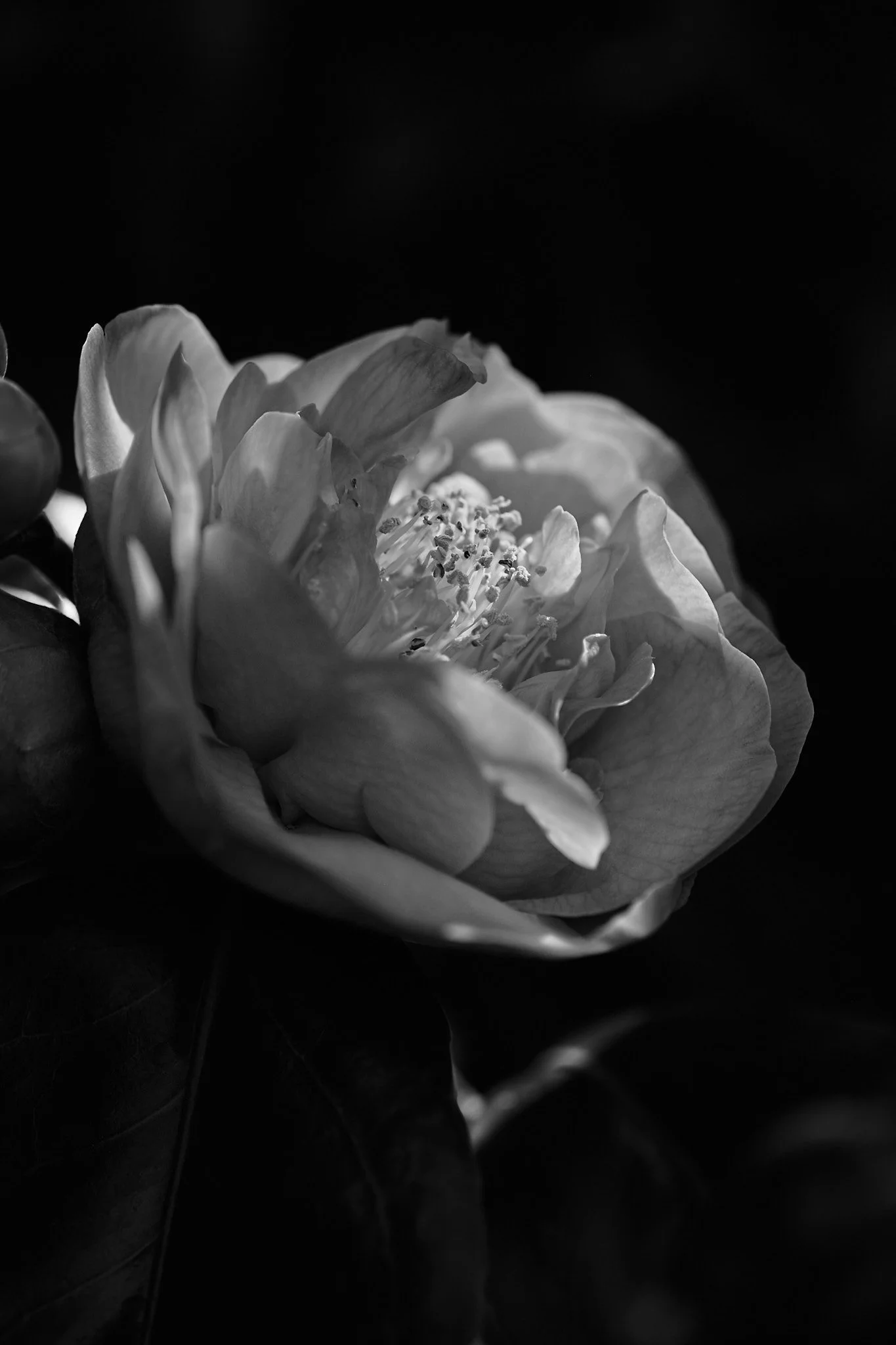 Why Regression Healing is Your Next Breakthrough Tool