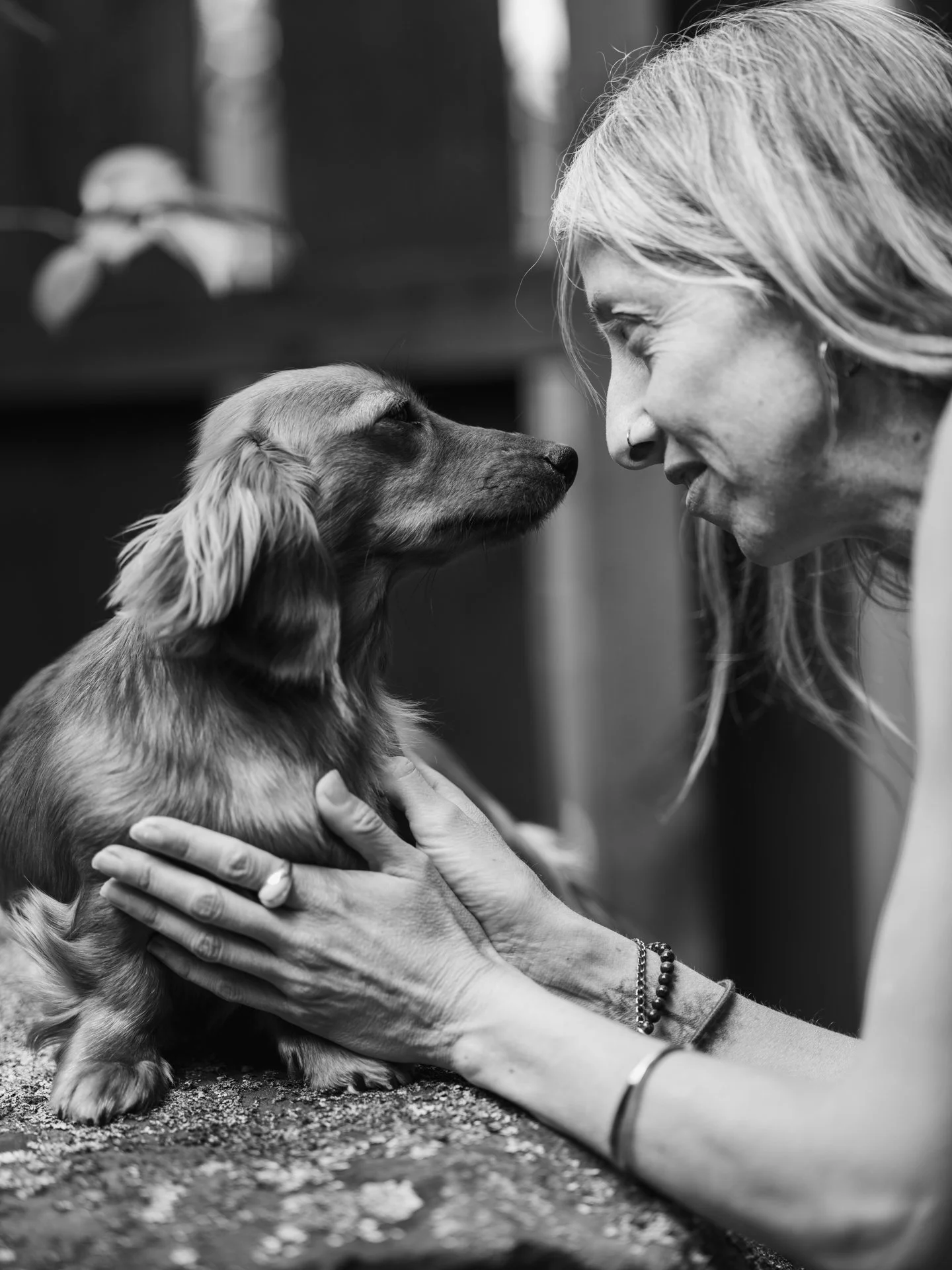 The Non-Human Experience: What Past Life Regression Reveals About Lives Beyond the Body.