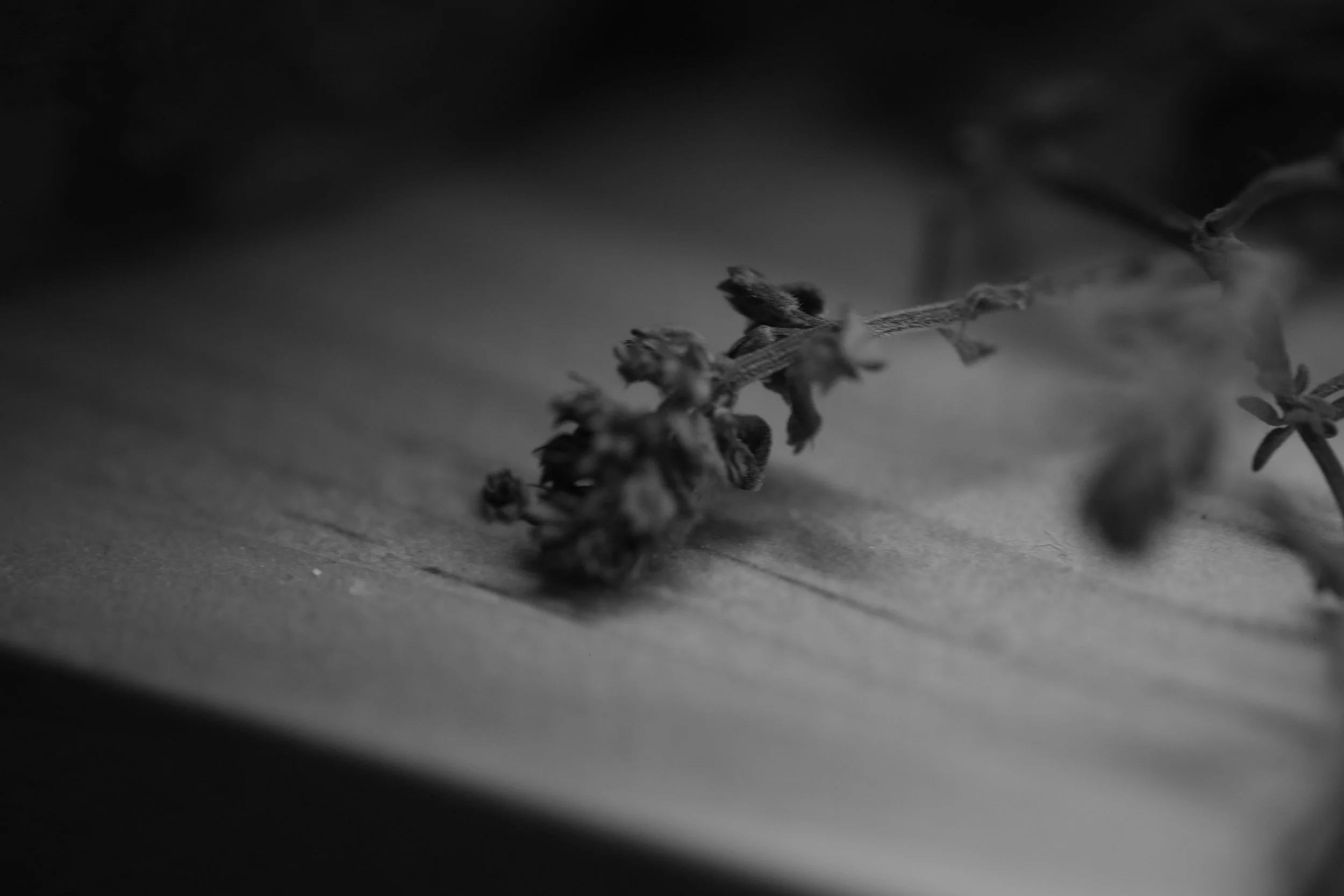 Misconceptions of Regression Healing Therapy