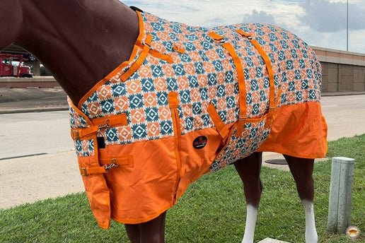 HILASON 1200D Winter Waterproof Horse Turnout Blanket Belly Wrap Floral Motif  80