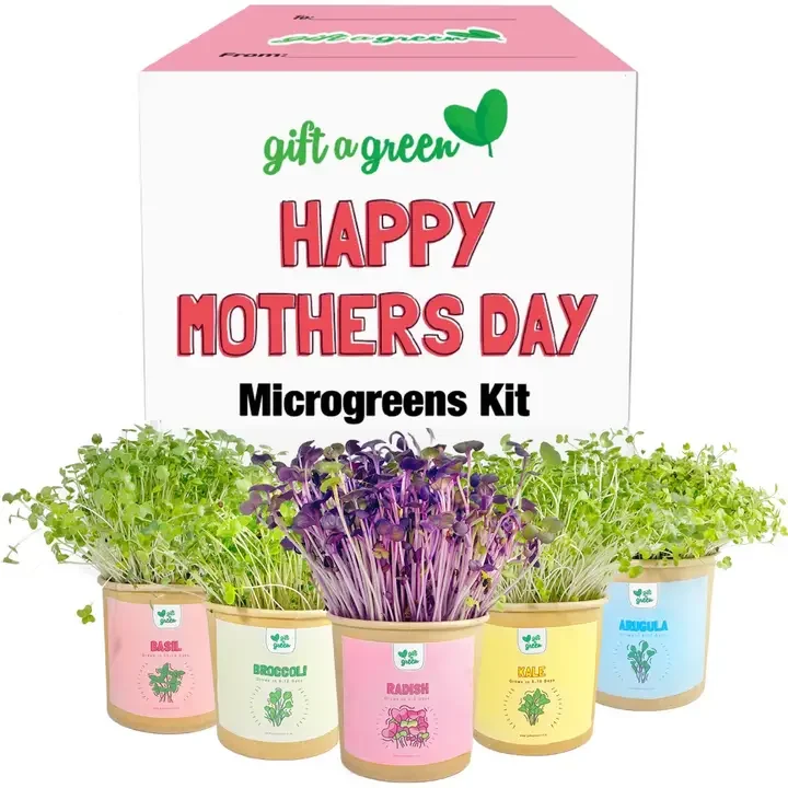 Gift Box - Happy Mother's Day