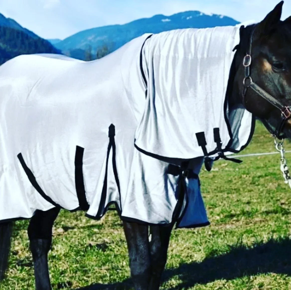 Champion Fly Sheet