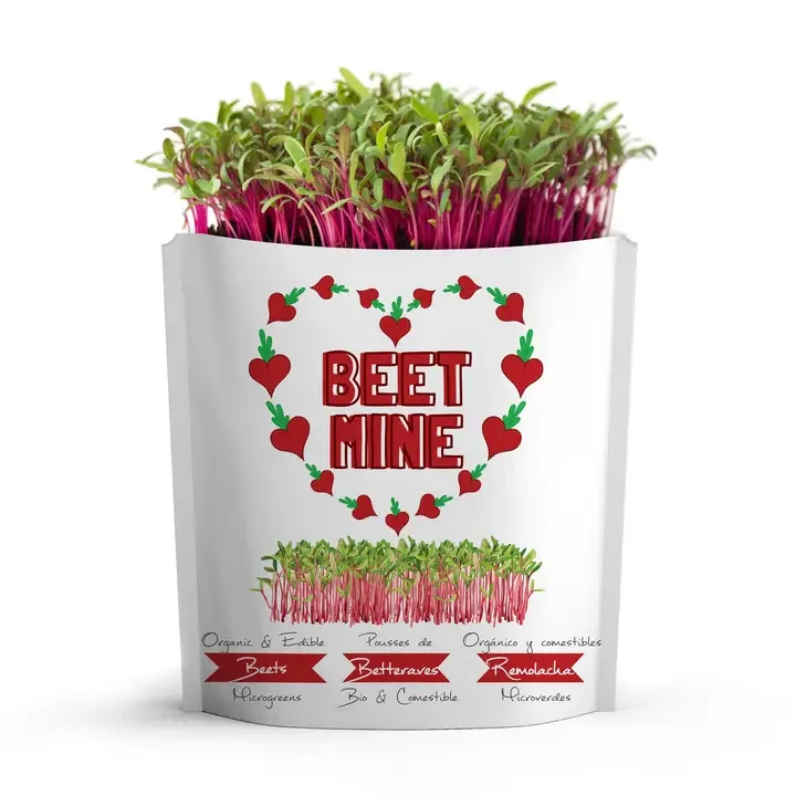 Beet Mine Greeting Card Pouch