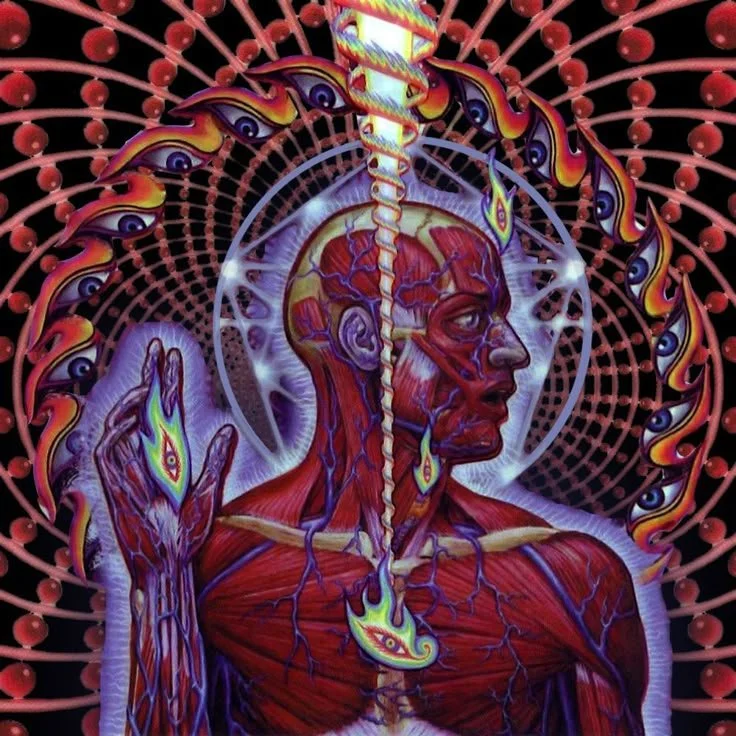 Lateralus.jpeg