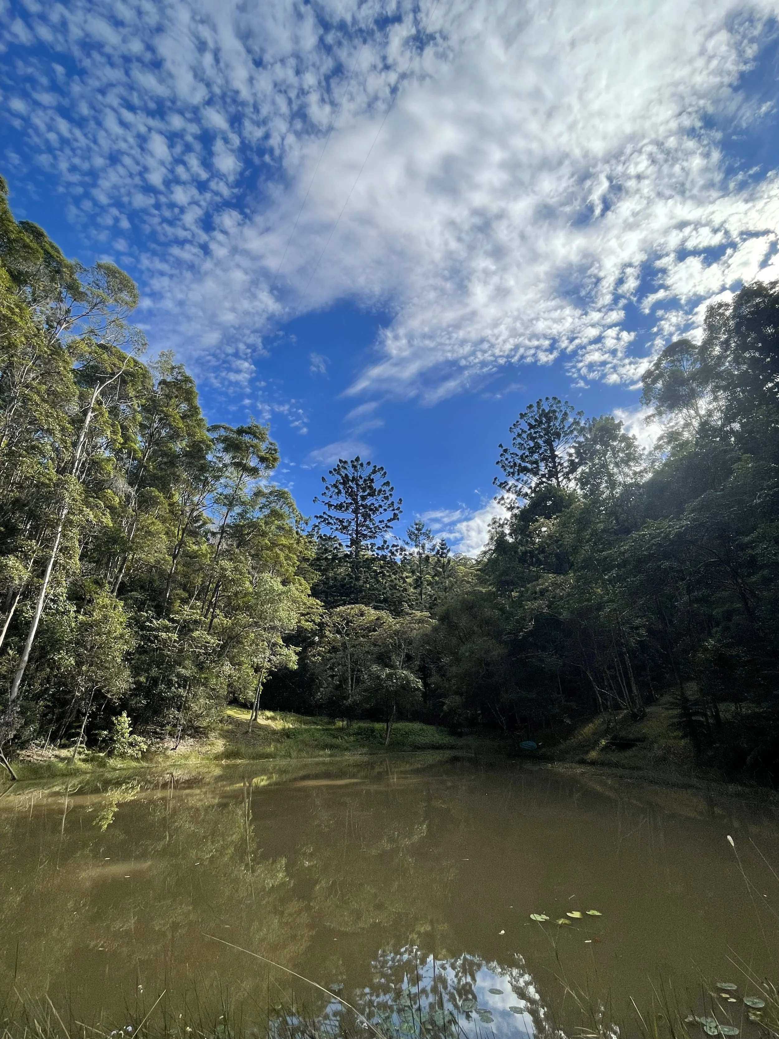 Shoot location large Dam Waterbody