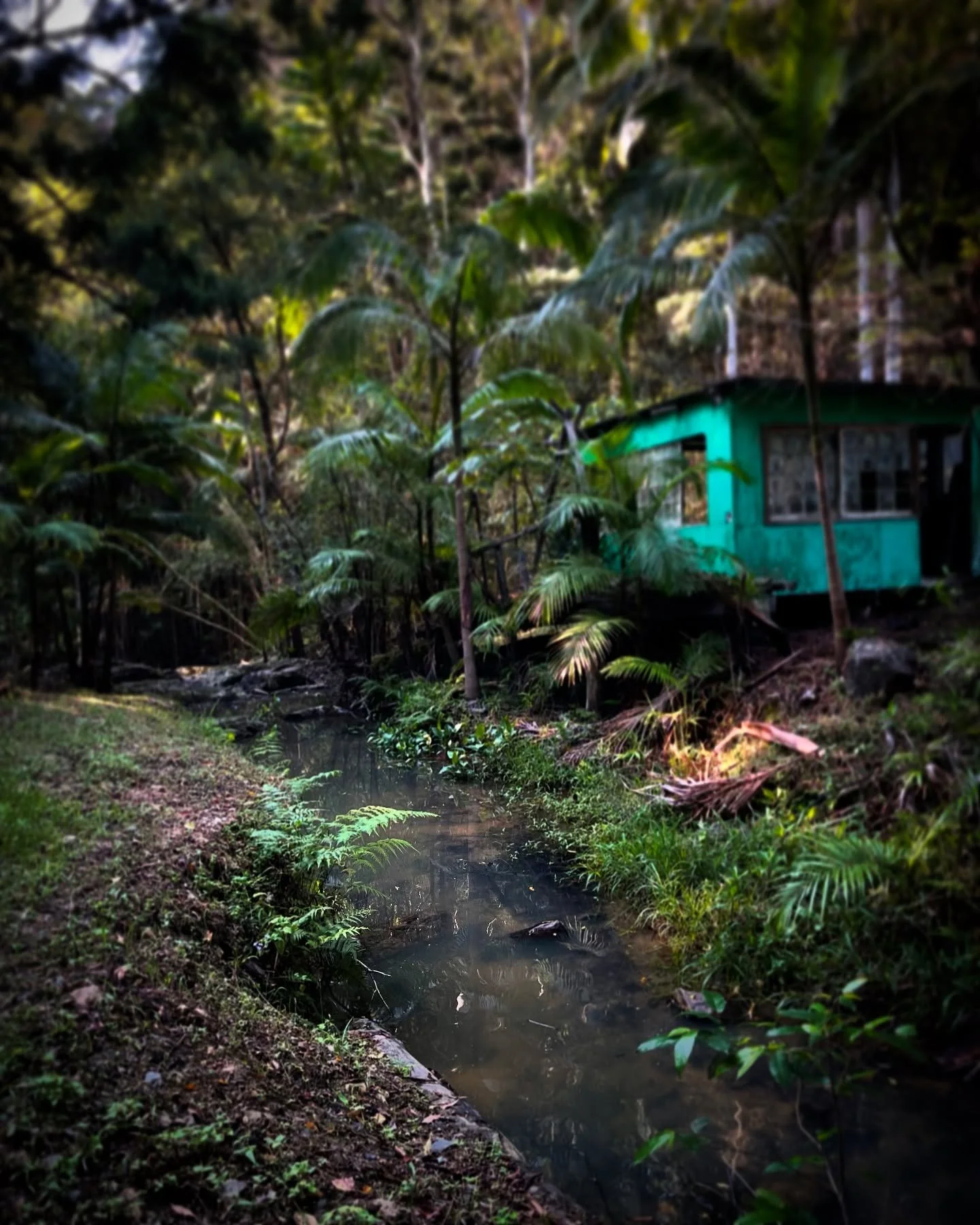 Shack on the creek 

#filmqld #screenaustralia #locationshoot #locationscouting locationshoot #nswfilmlocations #qldfilmlocations #murwillumbah #locationscoutingqld