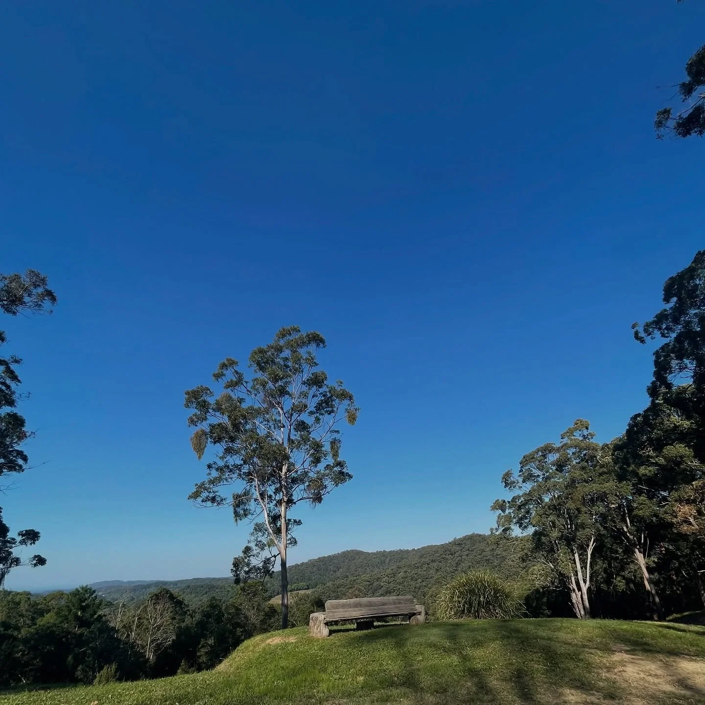 🫶 Lovers seat overlooking the Pacific Ocean 🫶  #filmlocationscouting #locationscoutingservice #locationshoot #screenqld #screenqld #screennsw
