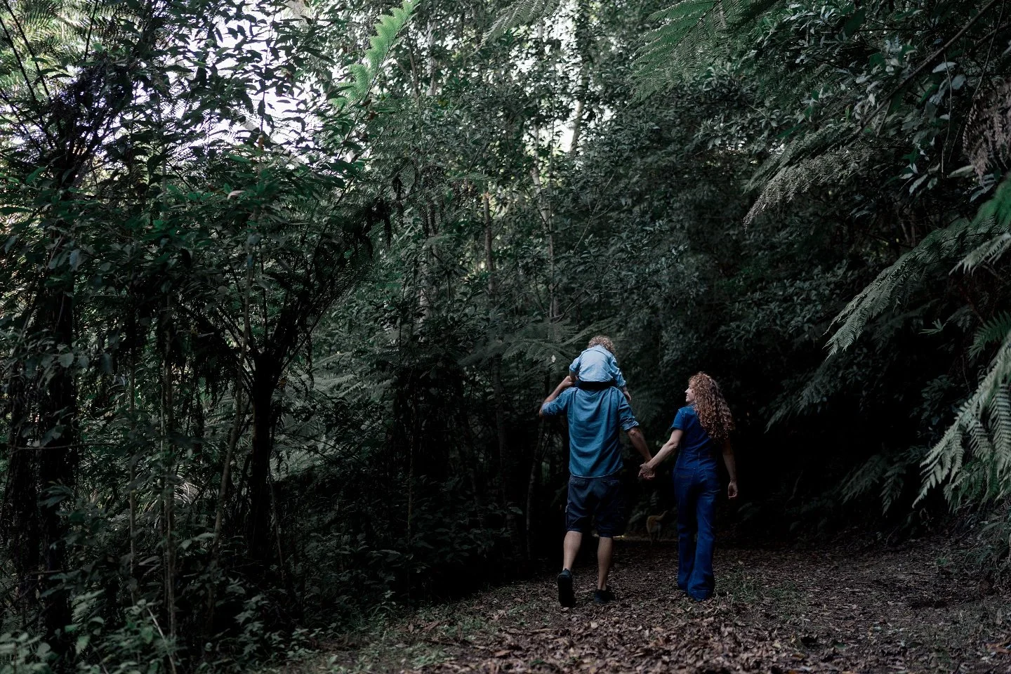 🌿 Welcome to Goodjinburra Forest 🌿

A secluded 150-acre sanctuary where nature takes center stage. Nestled in the Northern Rivers, NSW, our forest is a place of raw beauty&mdash;rainforests, hidden dams, winding gullies, rugged 4WD tracks, a cascad