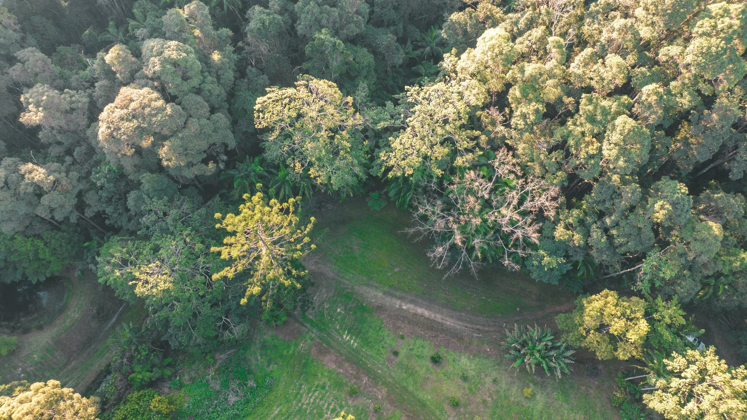 4WD Tracks_shoot location