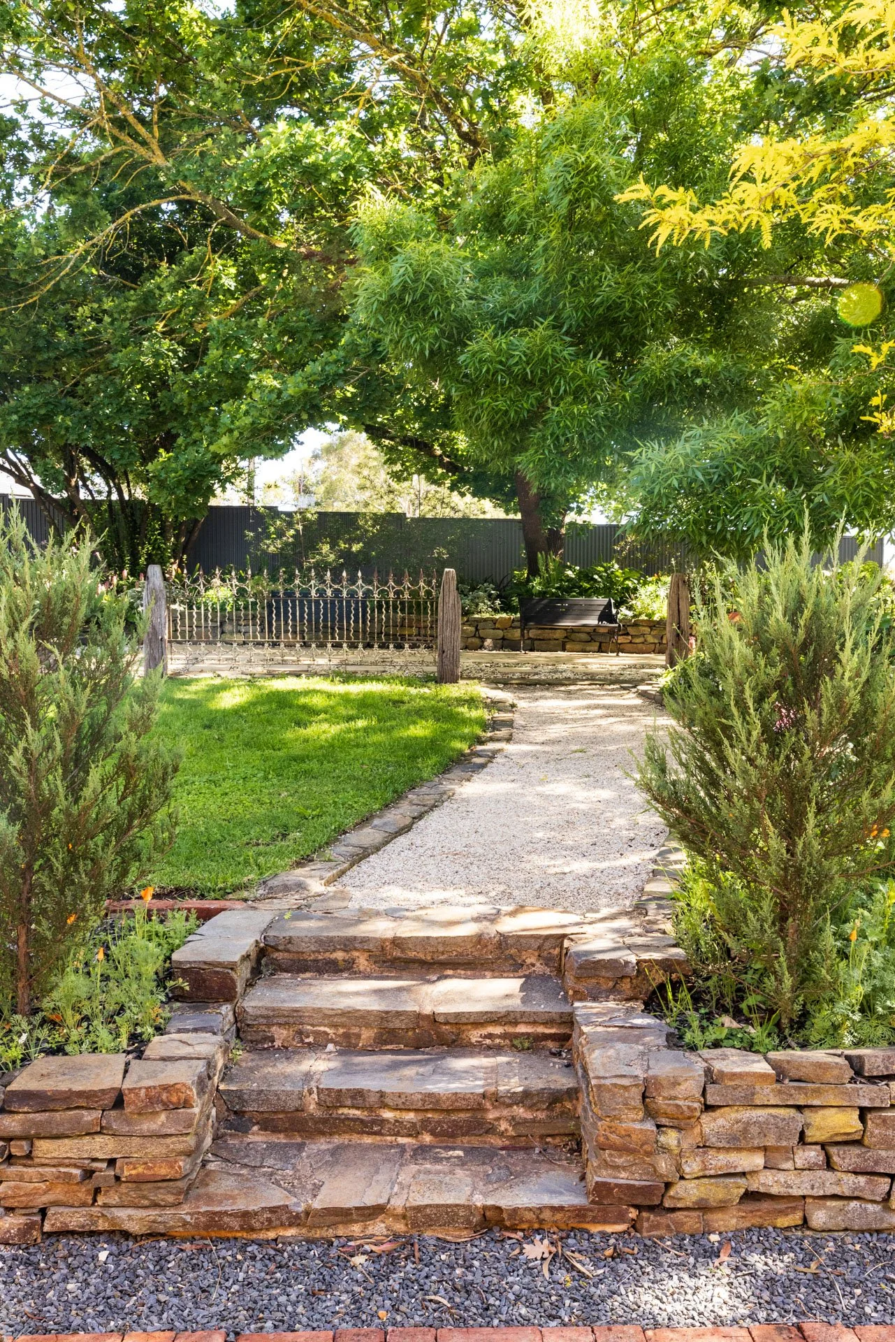 A beautiful  garden with stone steps leading to a grassy area and 100 year old oak tree. The garden is surrounded by shrubs and trees, with a black wooden fence in the background and a black metal bench on a stone platform.