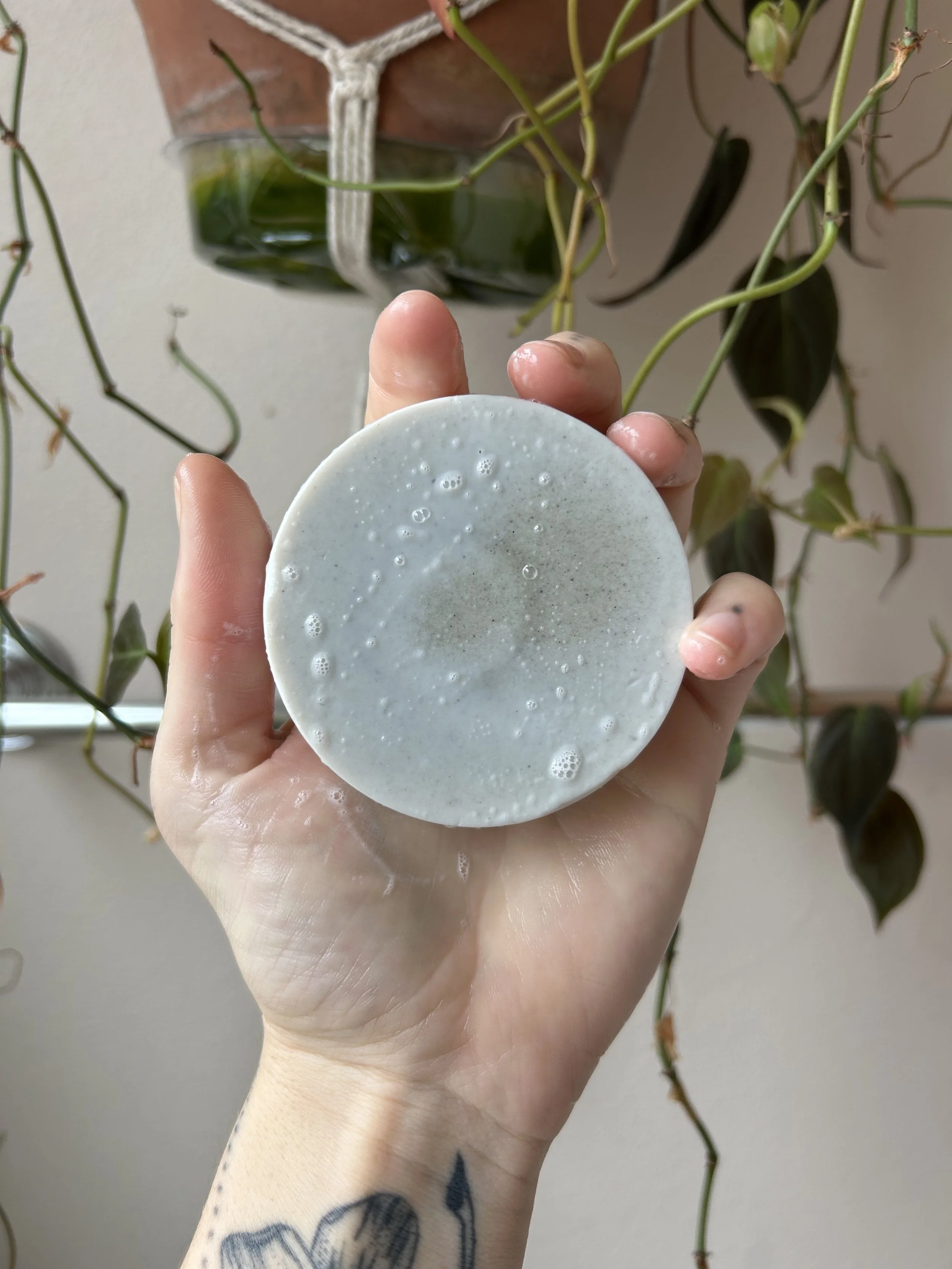 Purifying Shampoo Bar for Oily Hair 4.jpg