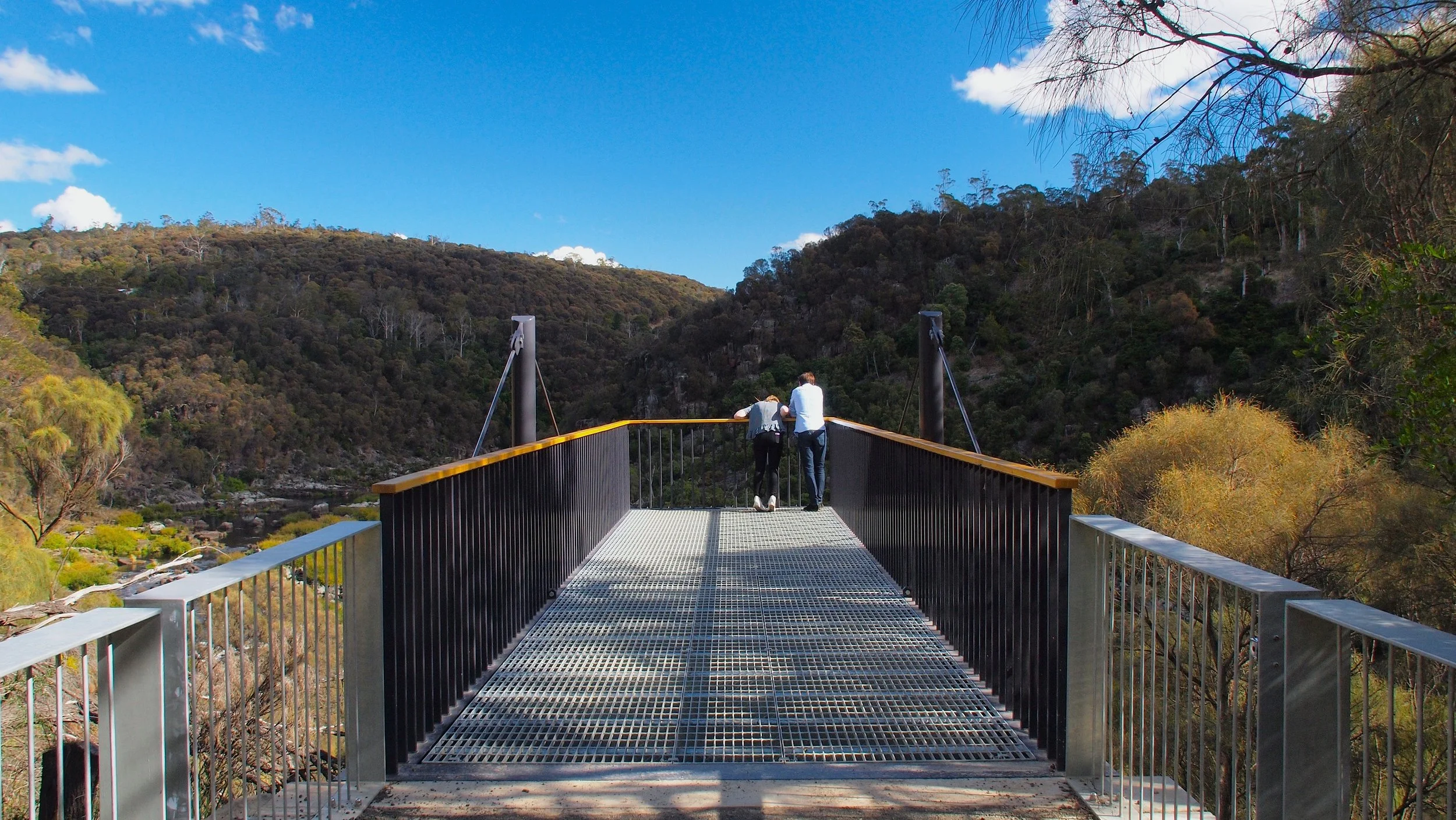 Sentinel Lookout — Tanner Architects