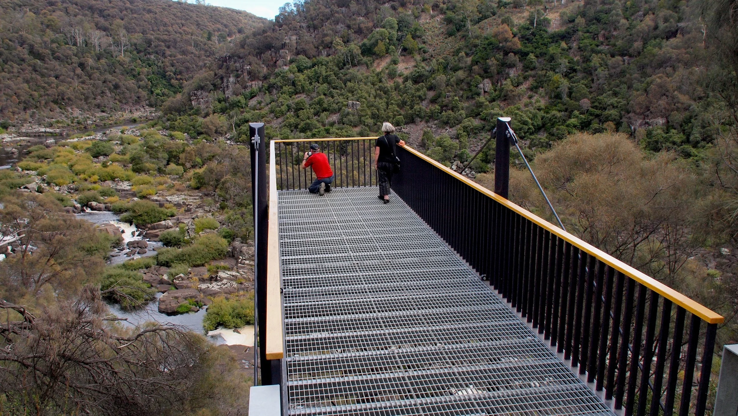 Sentinel Lookout — Tanner Architects