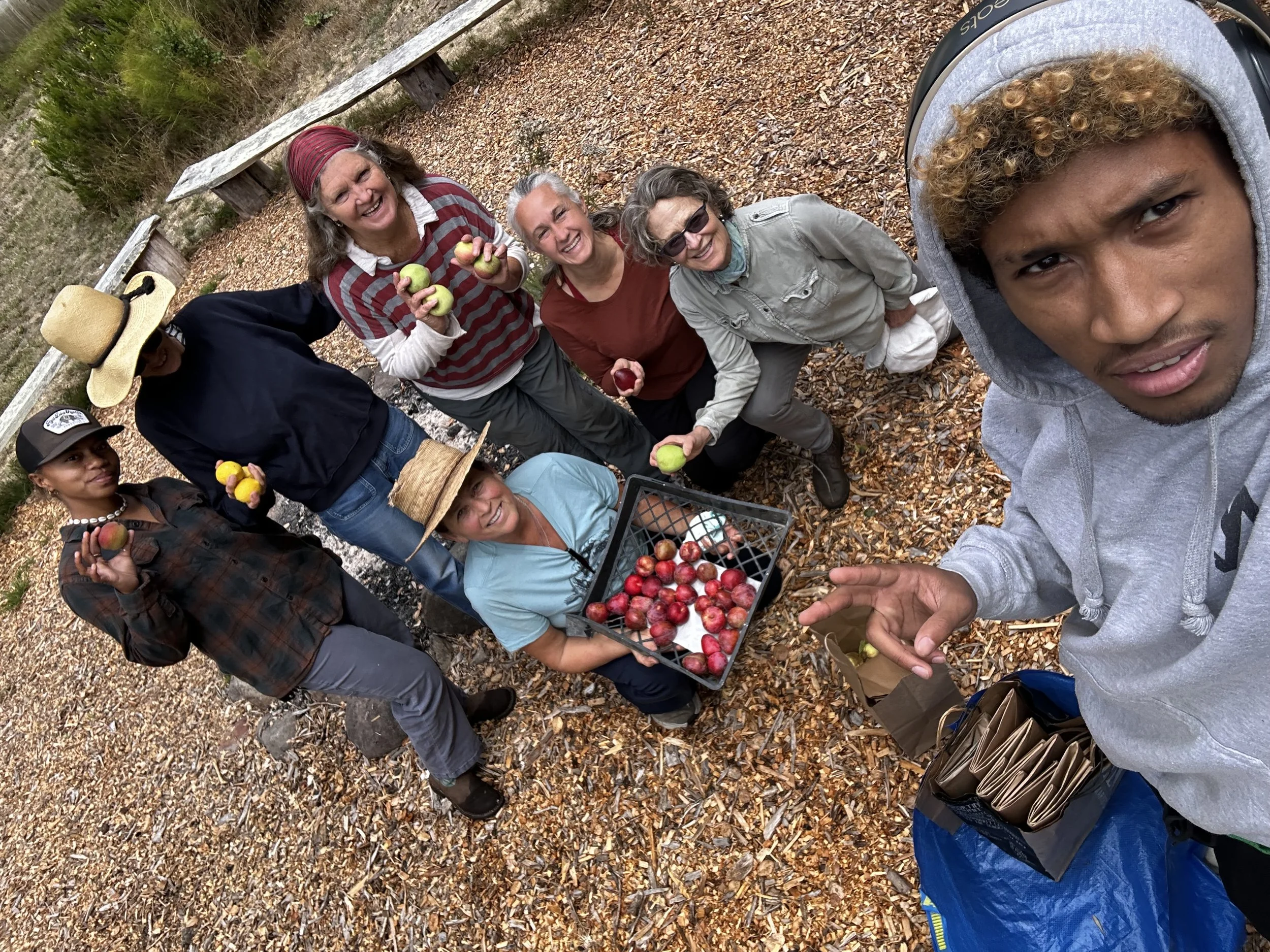 Commonweal Gleaners.jpeg