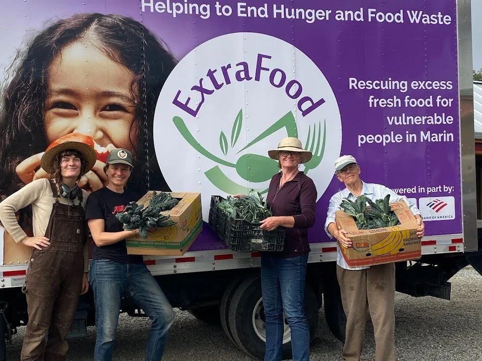 October 2022 Gleaned Kale: in partnership with ExtraFood's Share the Bounty program