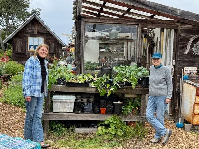 We grew lots of seedlings that found good homes with garden visitors!