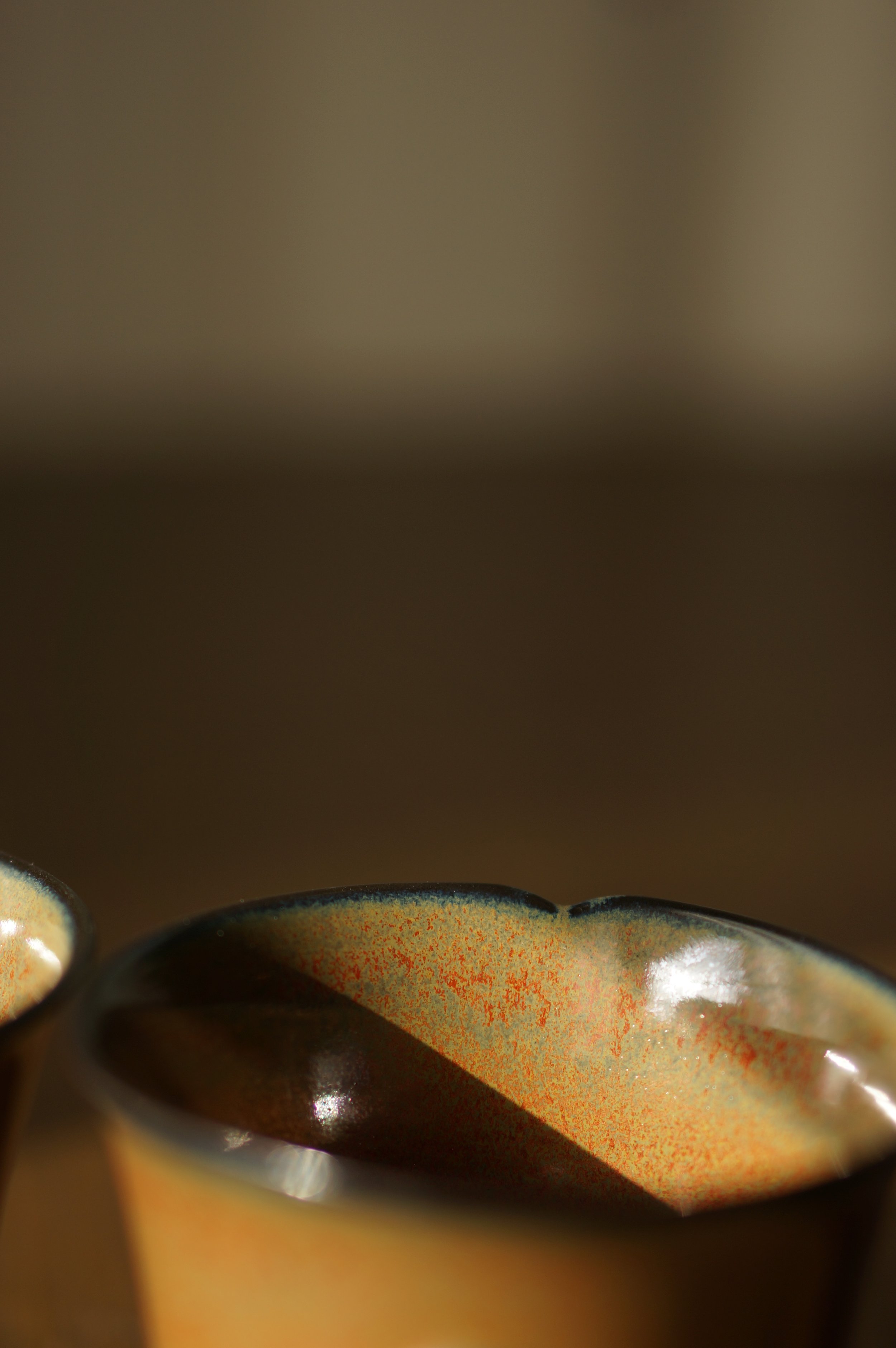 DSC02512.JPG