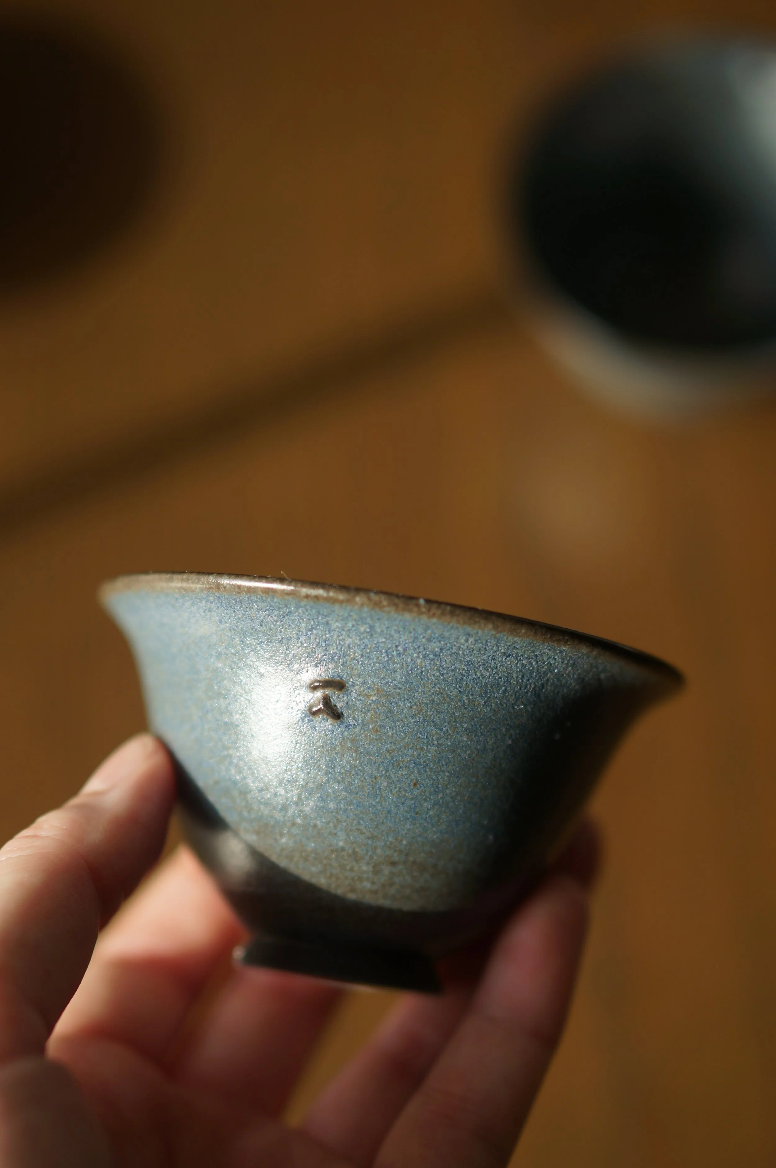 DSC02950.JPG