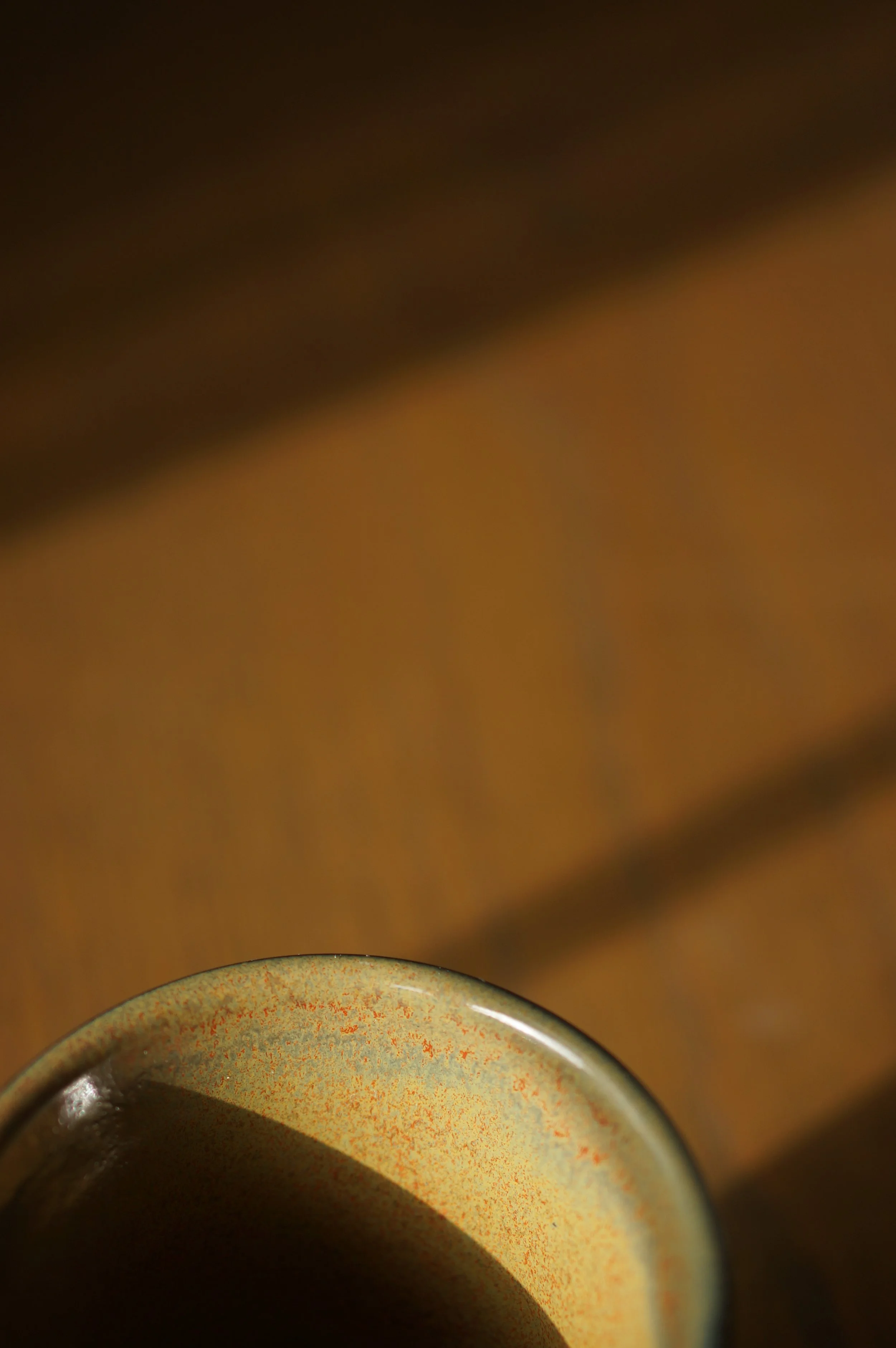DSC02970.JPG