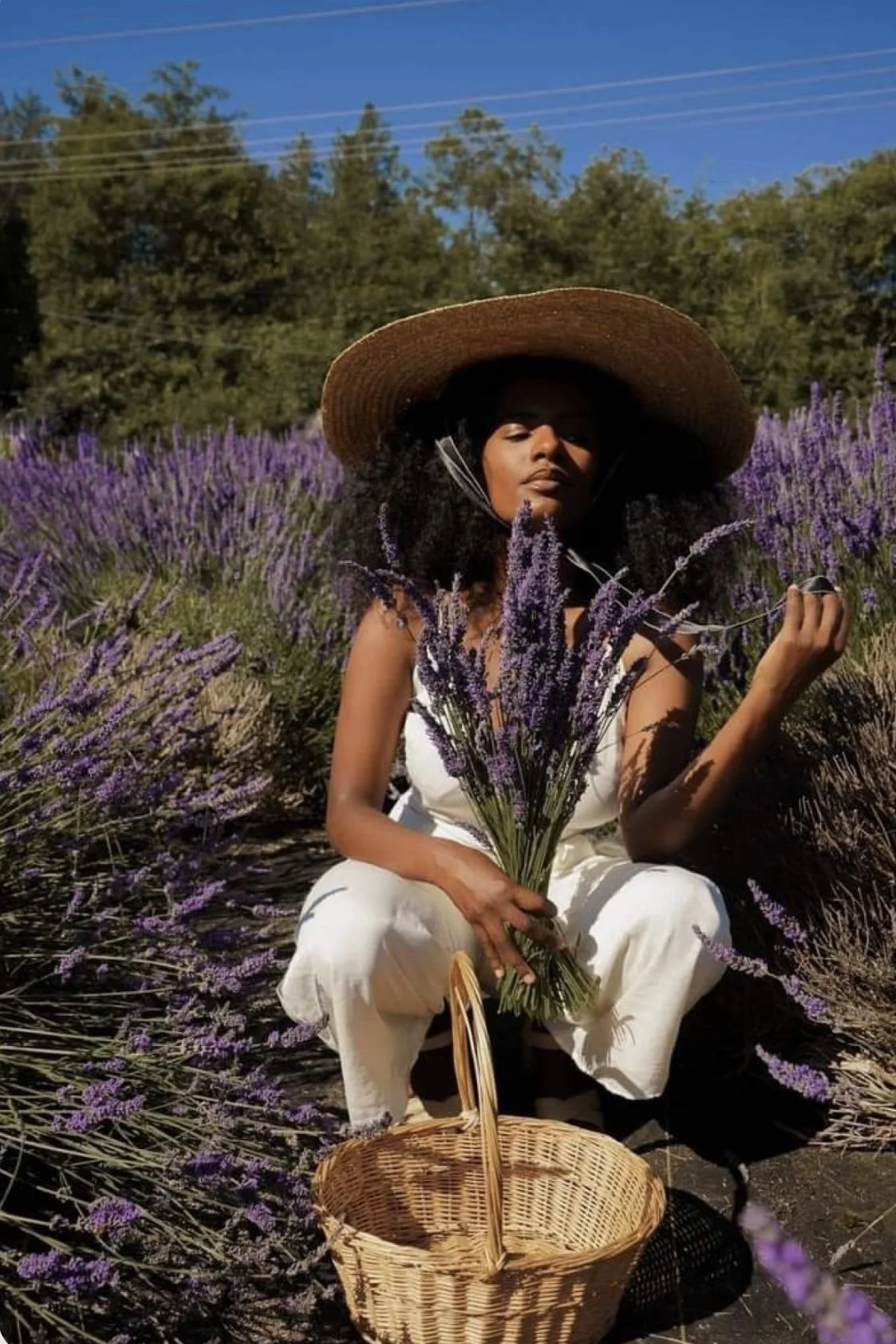 A woman in a white jumpsuit and wide-brimmed straw hat is sitting in a lavender field, holding a bouquet of lavender and an empty wicker basket. Clean Beauty Coalition