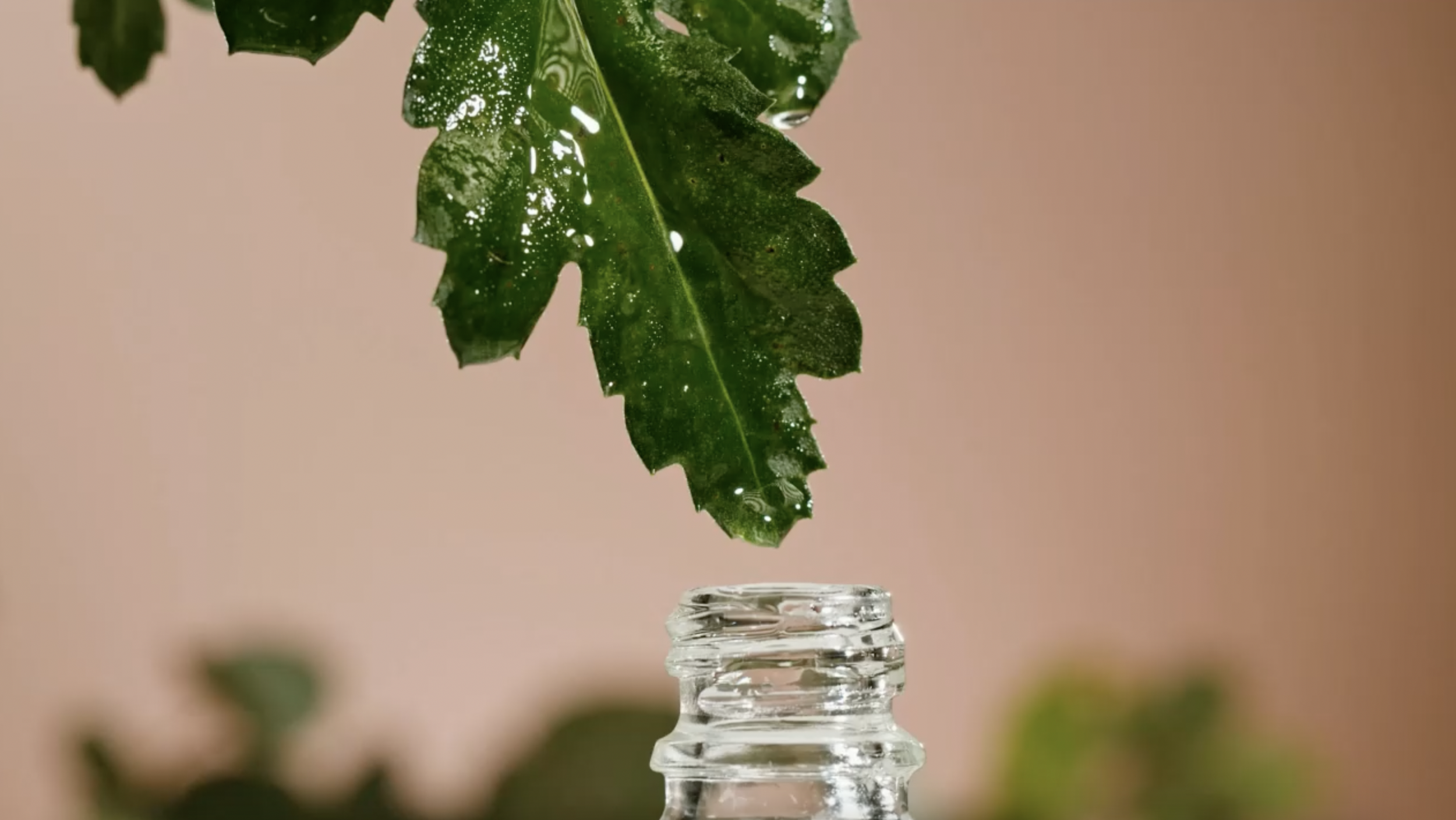 Screen Shot 2026-04-18 at 8.24.29 AM.png