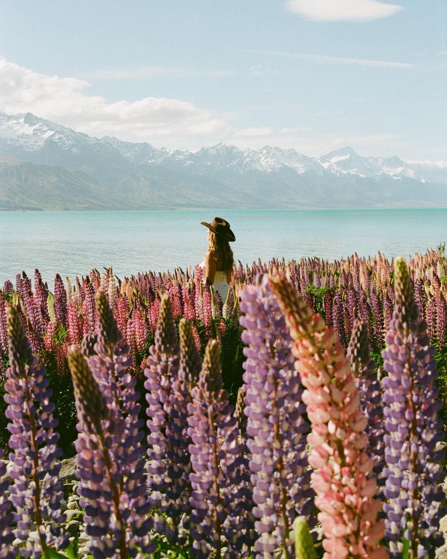 What a life we have made

This time nearly a year ago on one of my favourite weekends of the Spring/Summer. Missing Aotearoa a little extra today