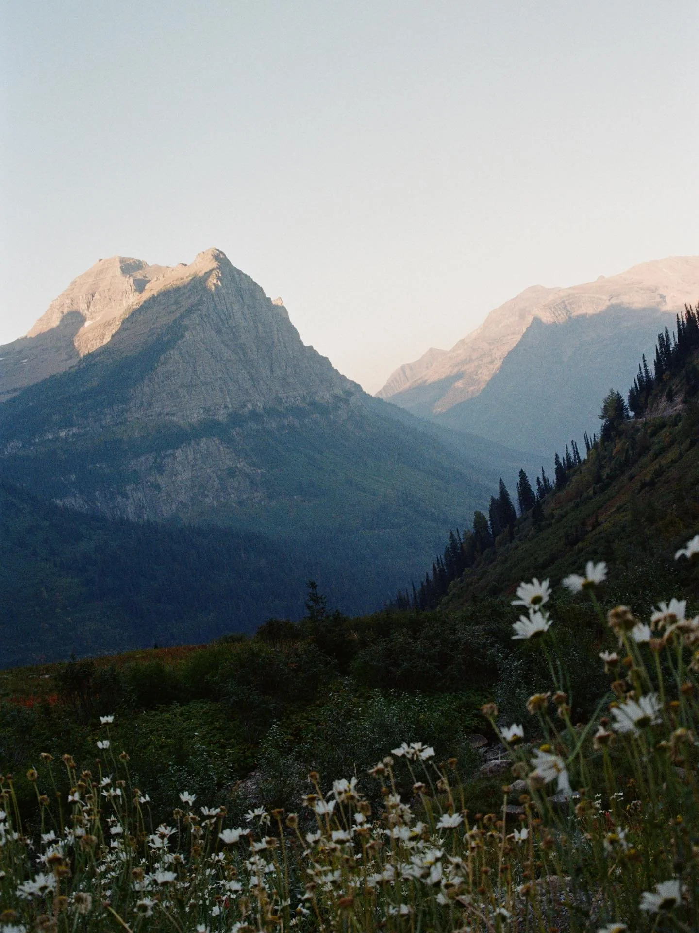 Some film from our National Park and dive bar road trip across the American West.

1600 miles
14 days
4 States 
1 engine light
1.5 breakdowns 
0.5 mental breakdowns 
Infinity Margaritas and Coors banquets
4 broken toes 
4 National parks 
6 dive bars