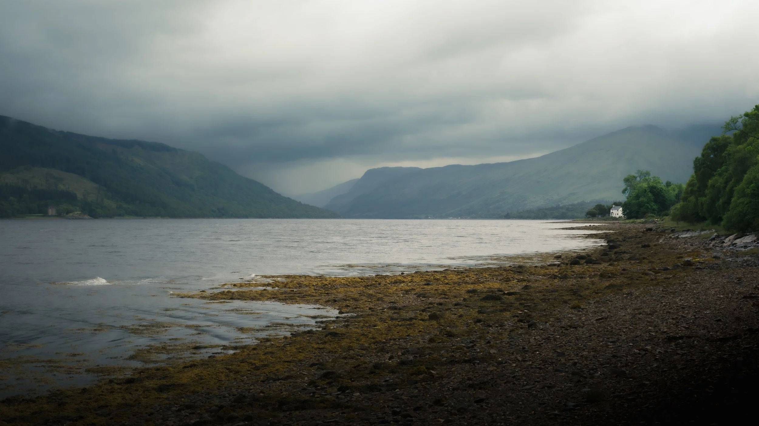 Loch Fyne Summer.jpg