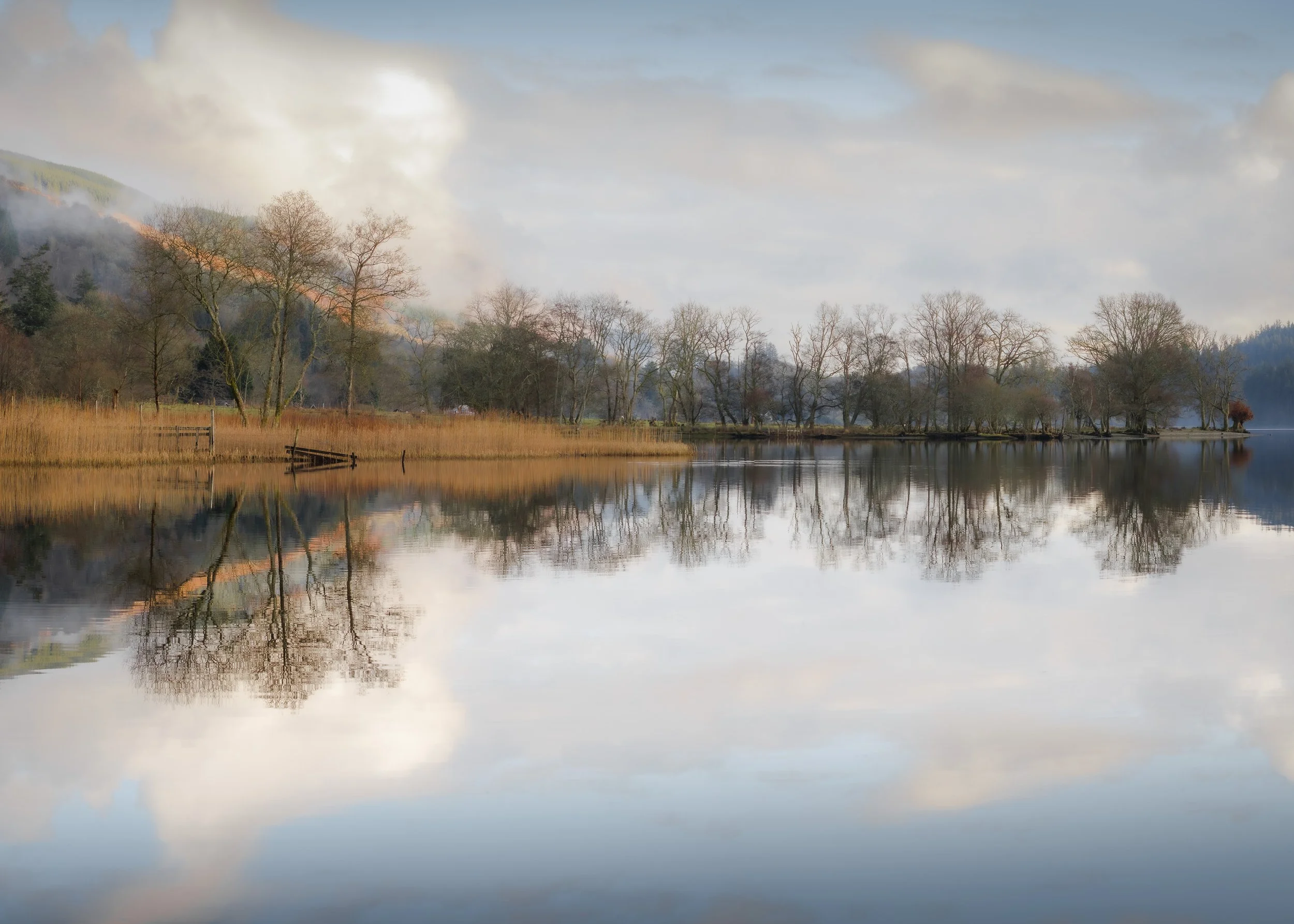 From Hobby to Professional Photography