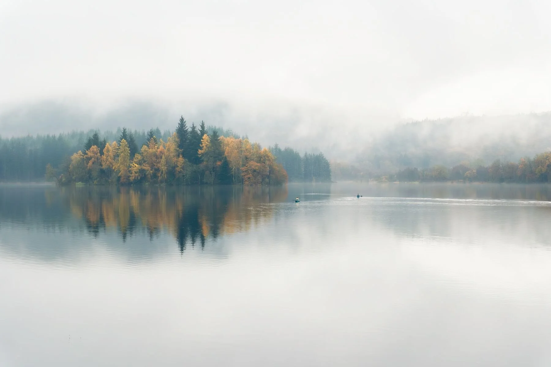 9829874.jpg
