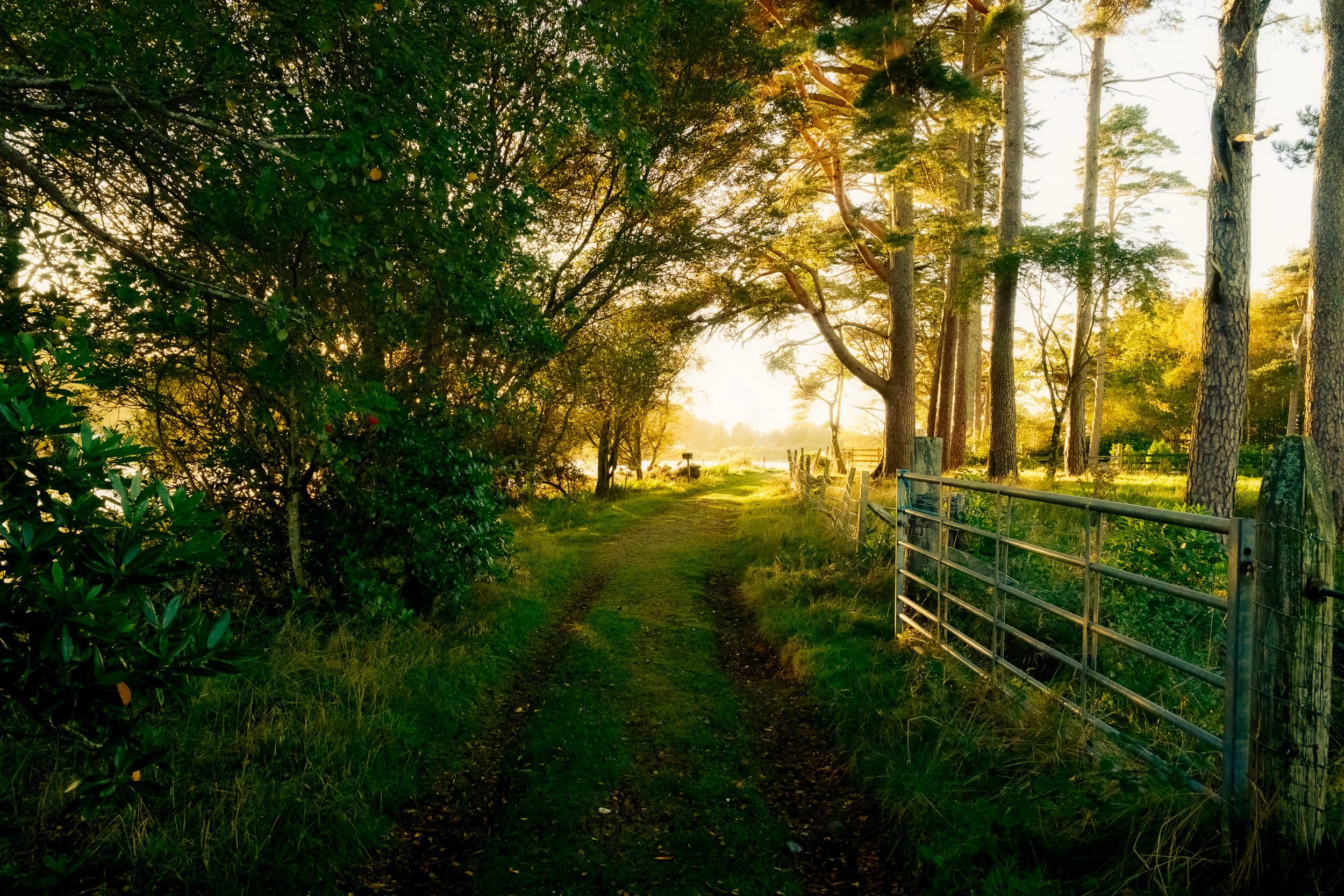 River Shiel Path.jpg