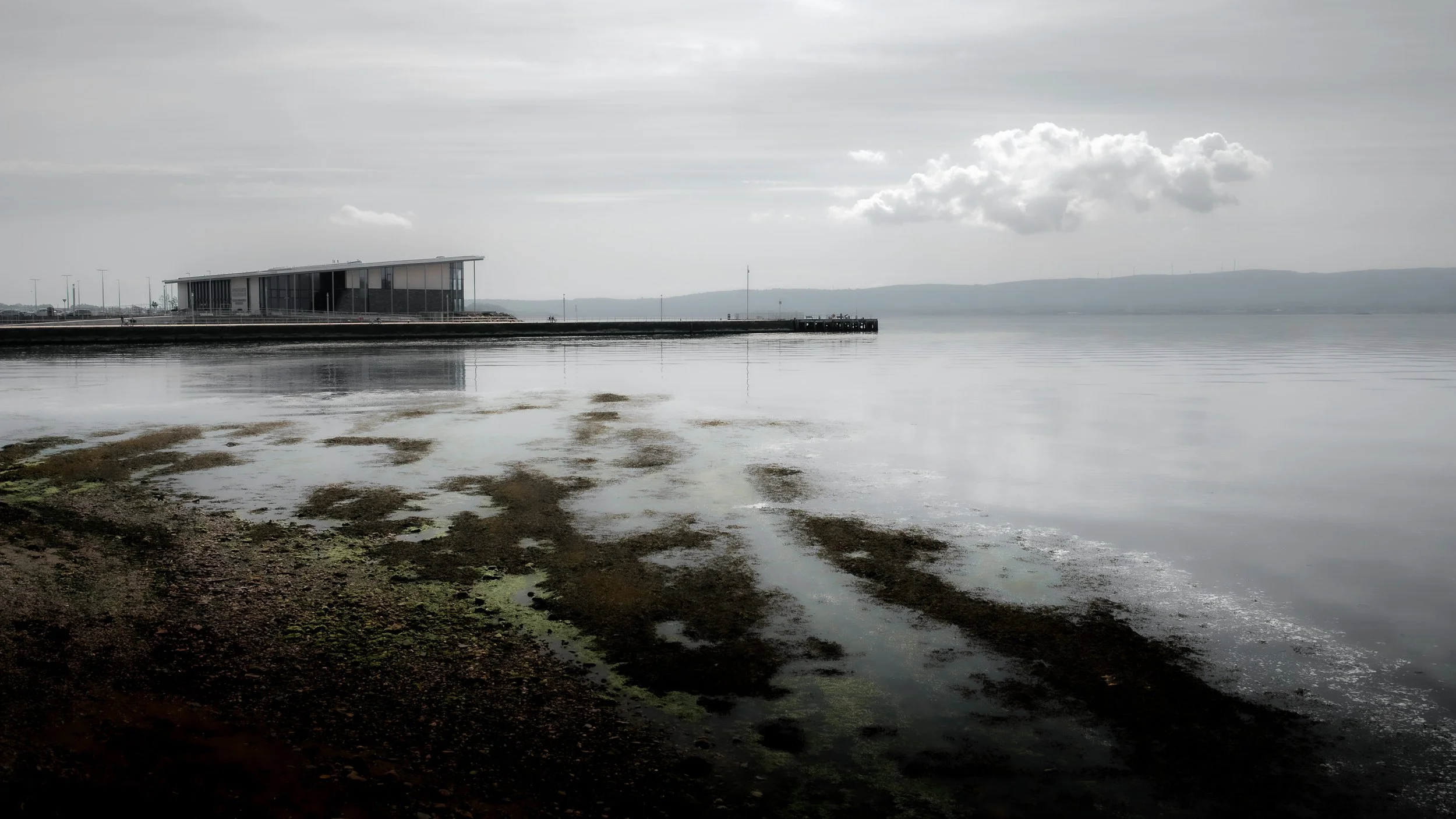 Helensburgh Pier Seaweed