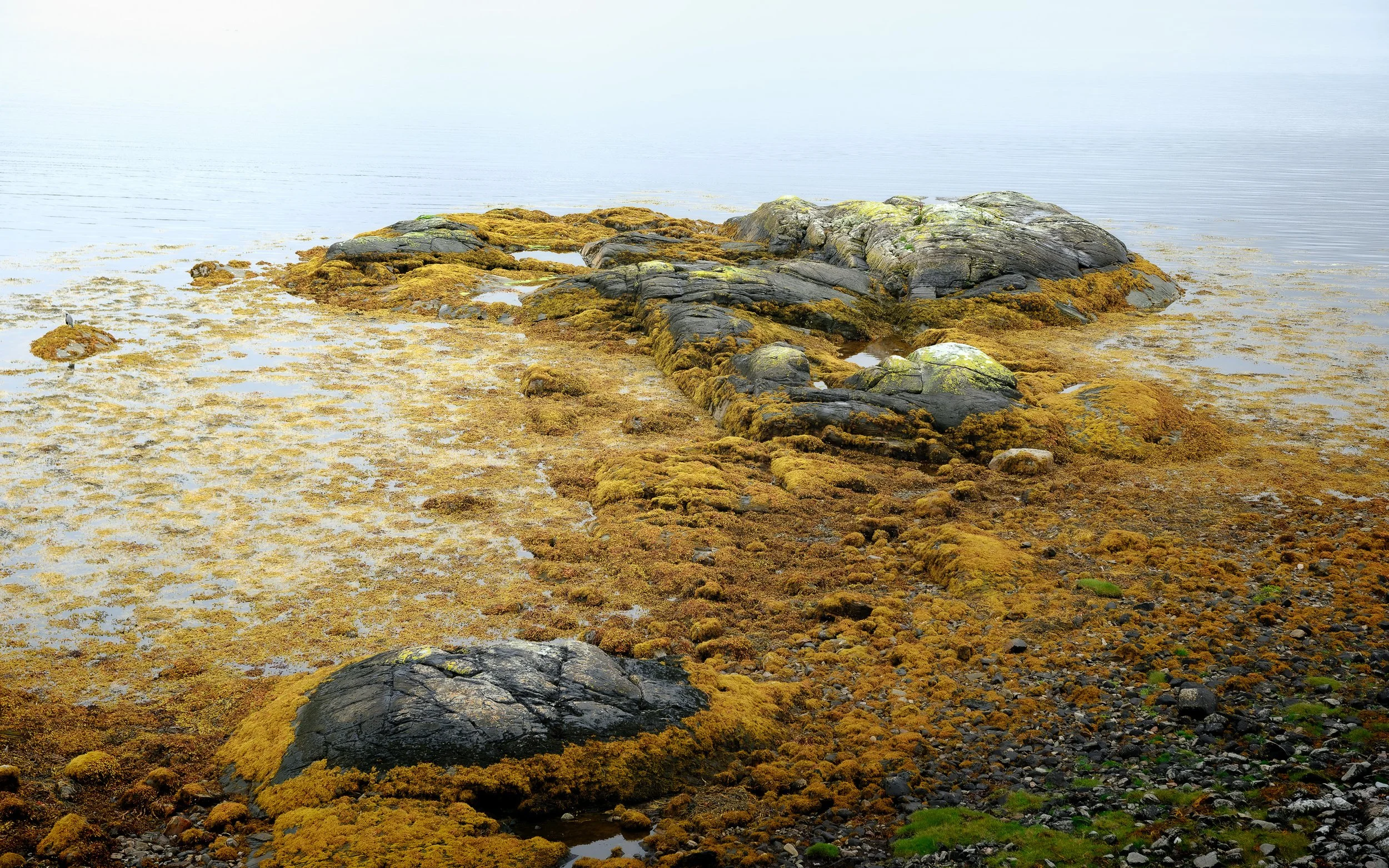 Garbh Eilean Rocks.jpg