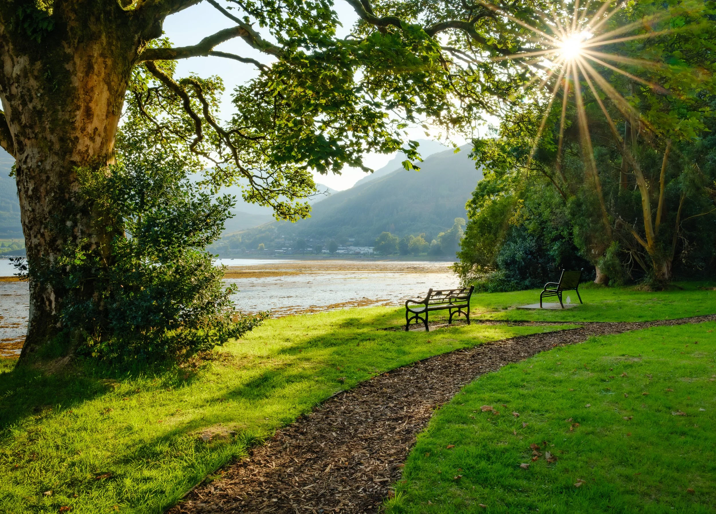 Village Green Sunburst.jpg