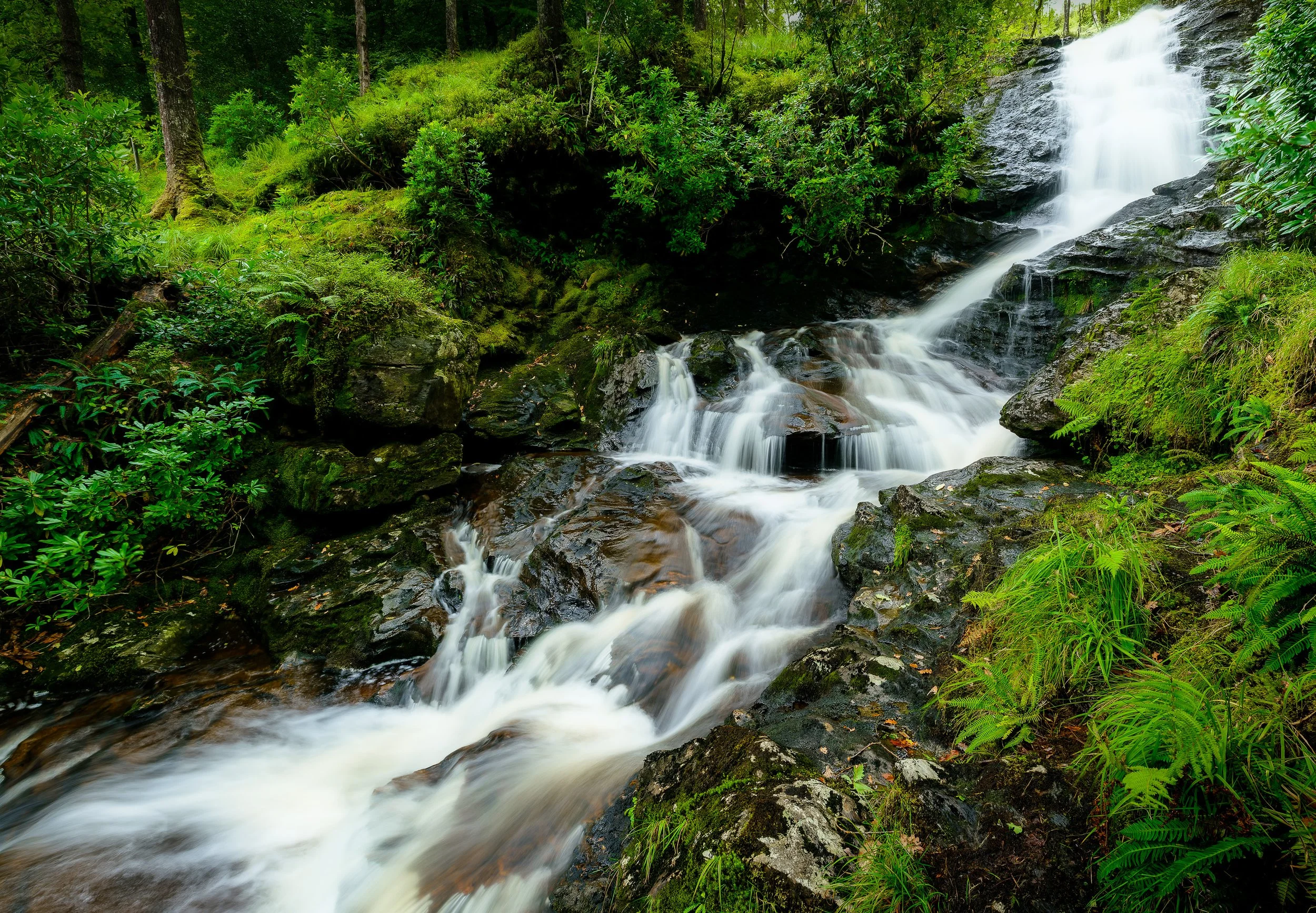 Cormonochan Falls, Carrick Castle