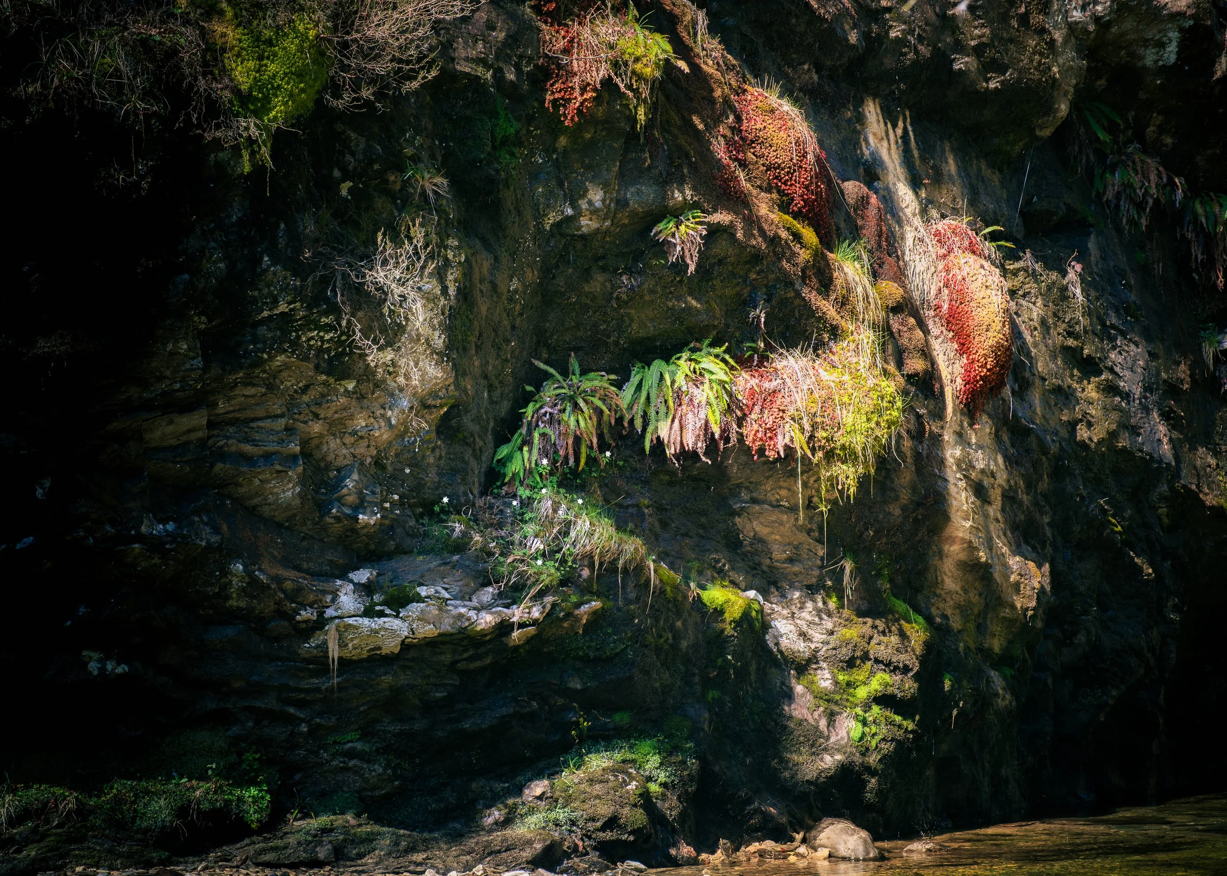 The Cliff Pool.jpg