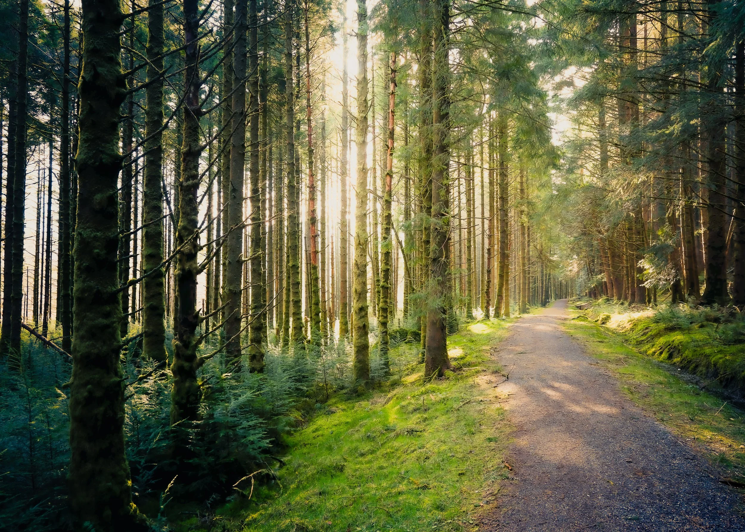 River Walk Sunlight.jpg