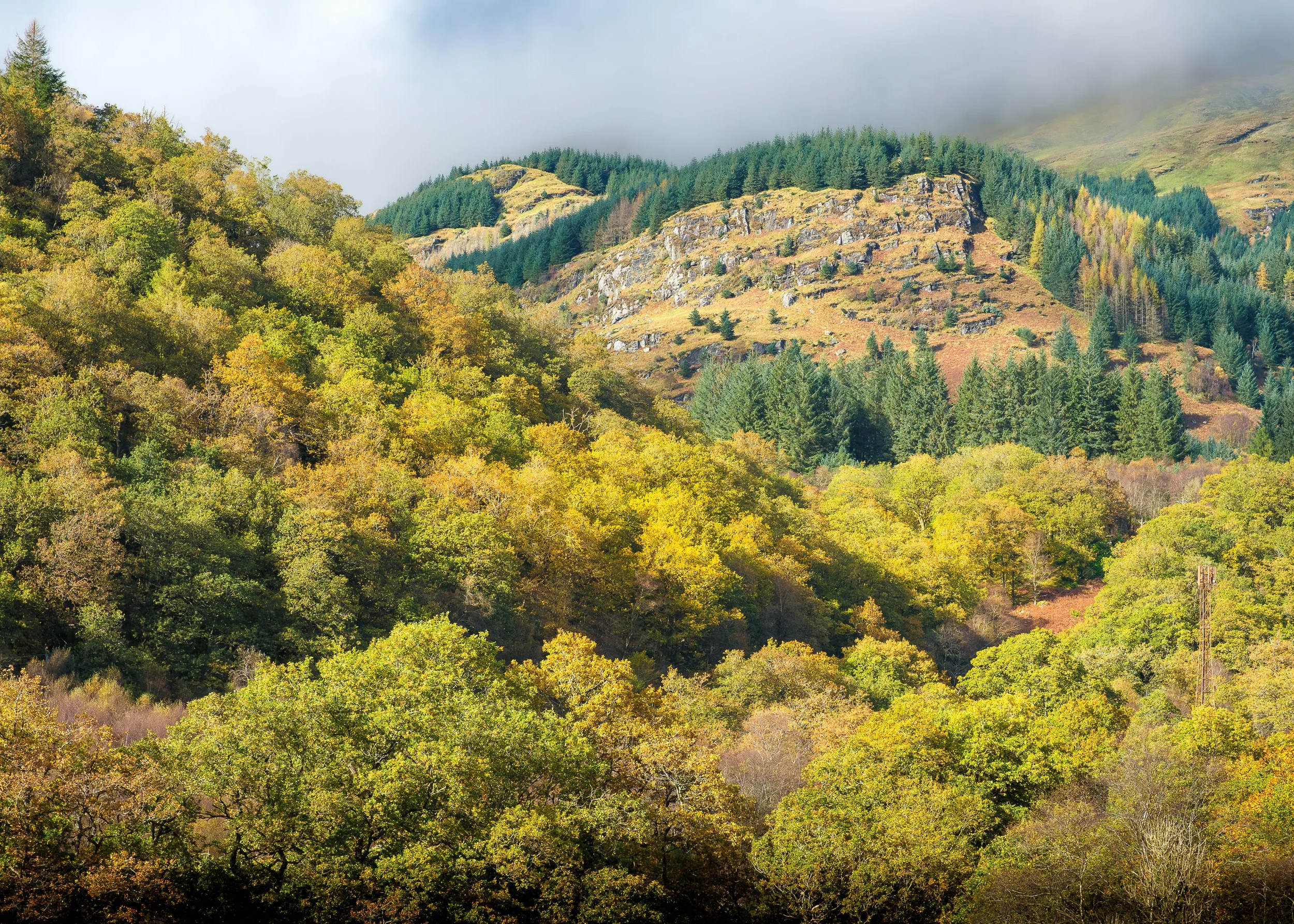 Monevechaden Autumn.jpg