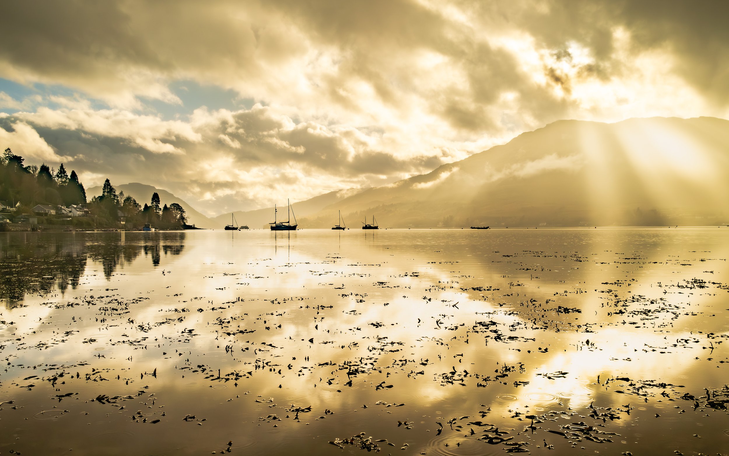 Lochgoilhead Gold.jpg