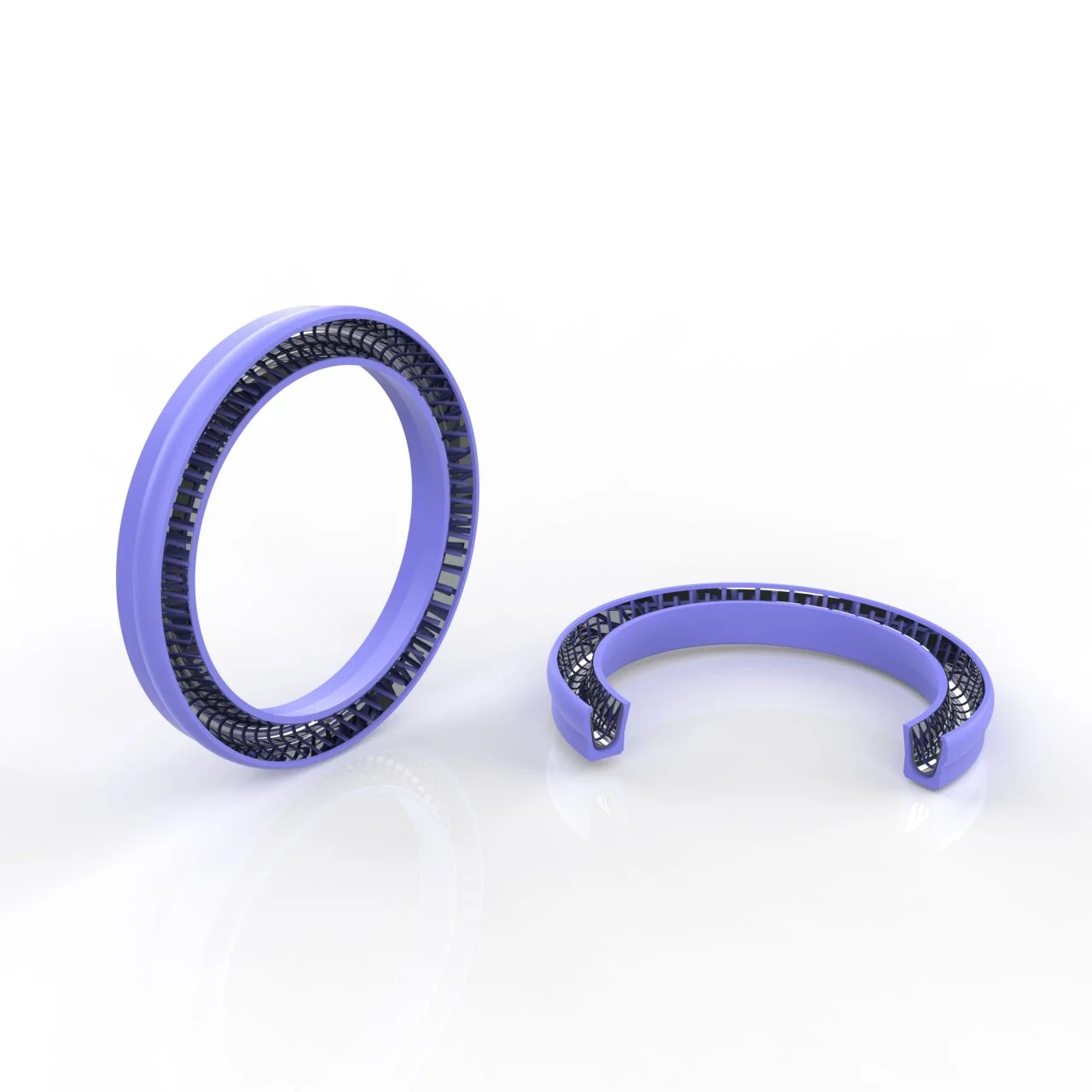 Spring Energised Seal Render