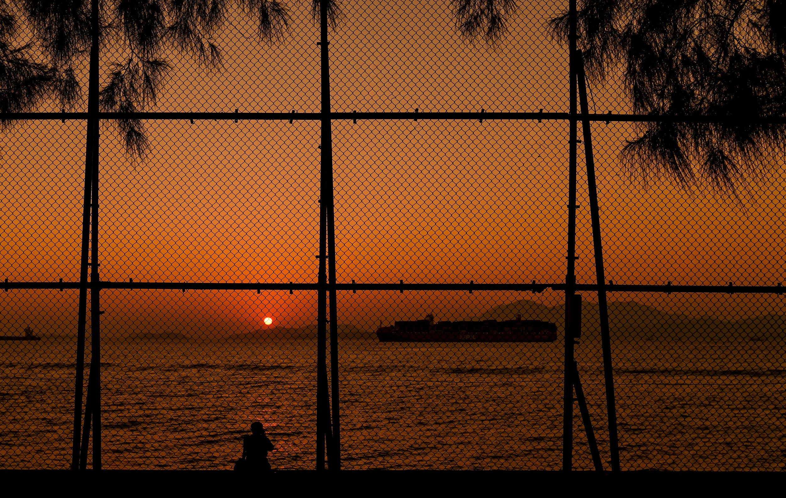 "Sunset Silhouette" by Col Sim