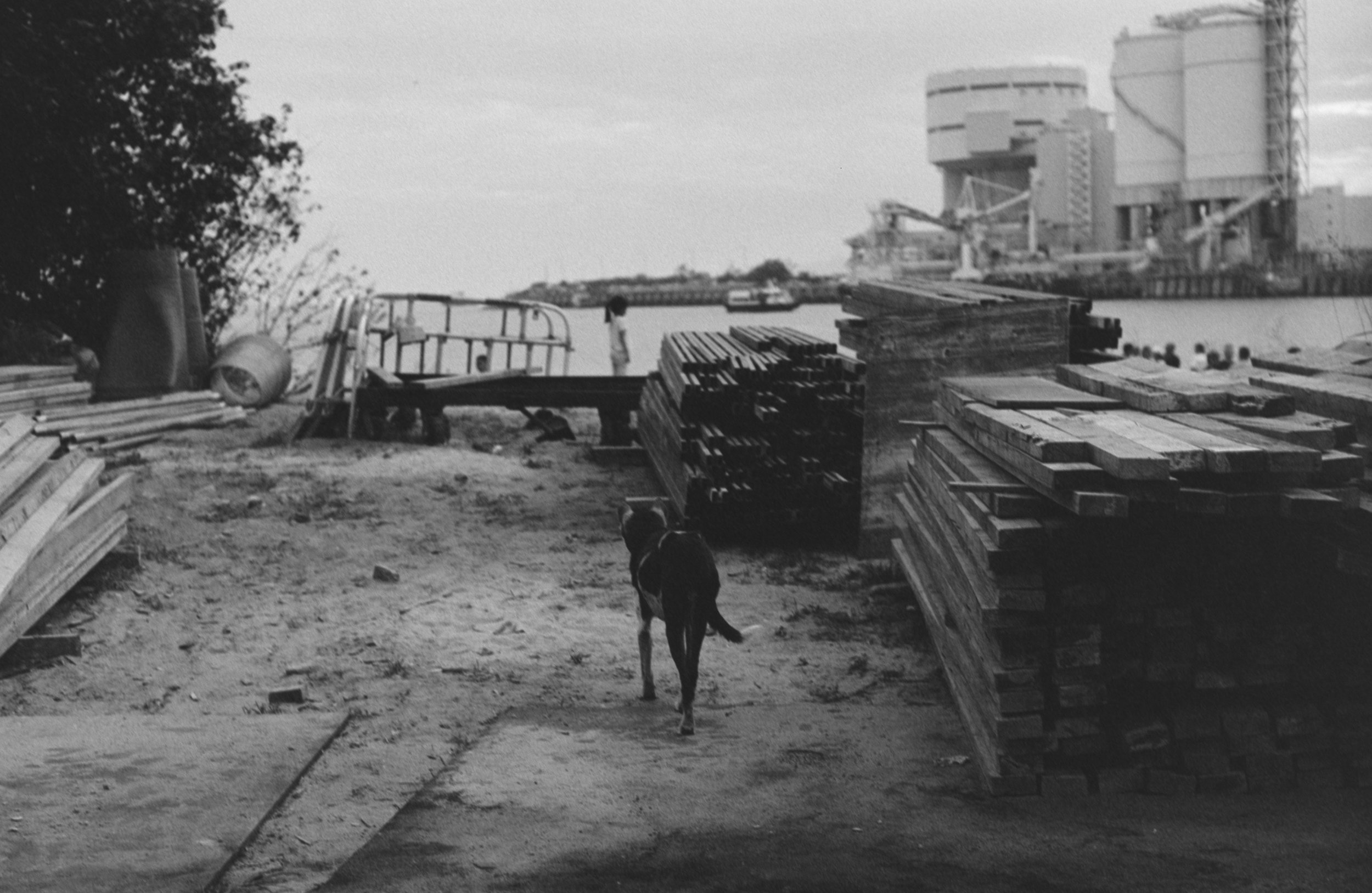 The Island Where We Live 3.JPG