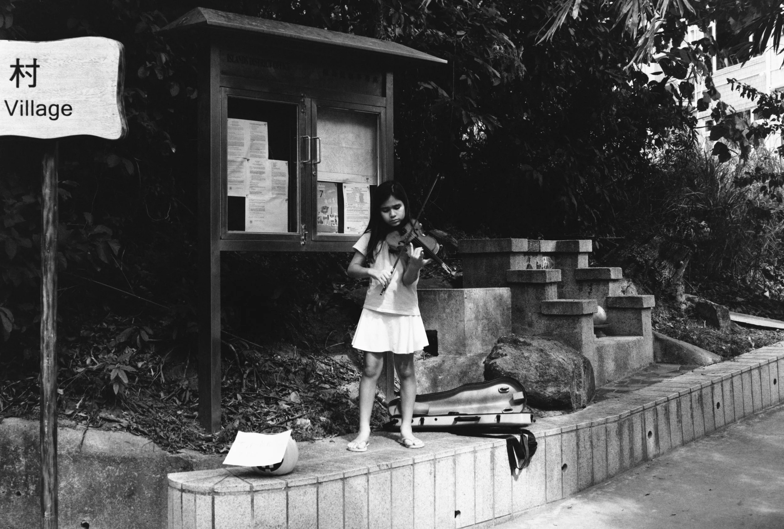 The Island Where We Live 5.JPG