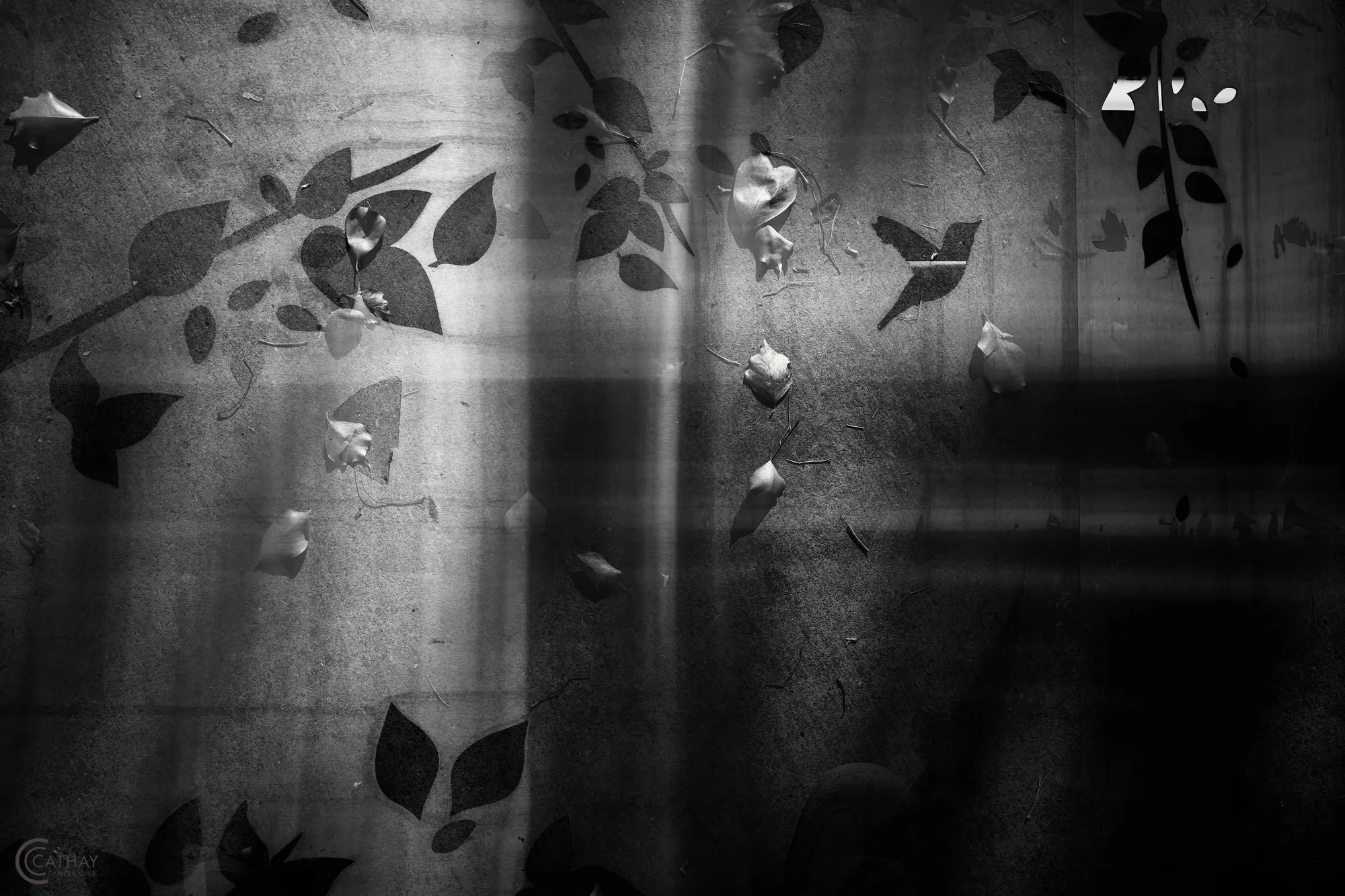 "Dreamscape" by Michael Epstein (Mike)