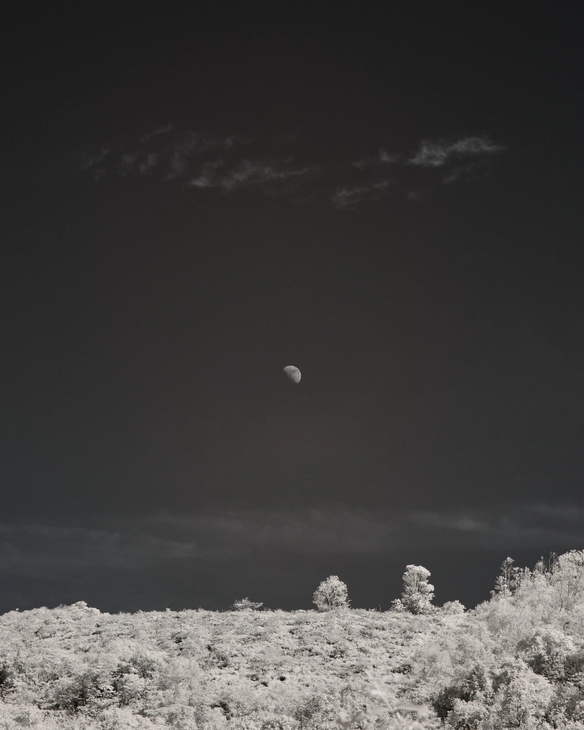 "Moonscape" by Tim Saxon