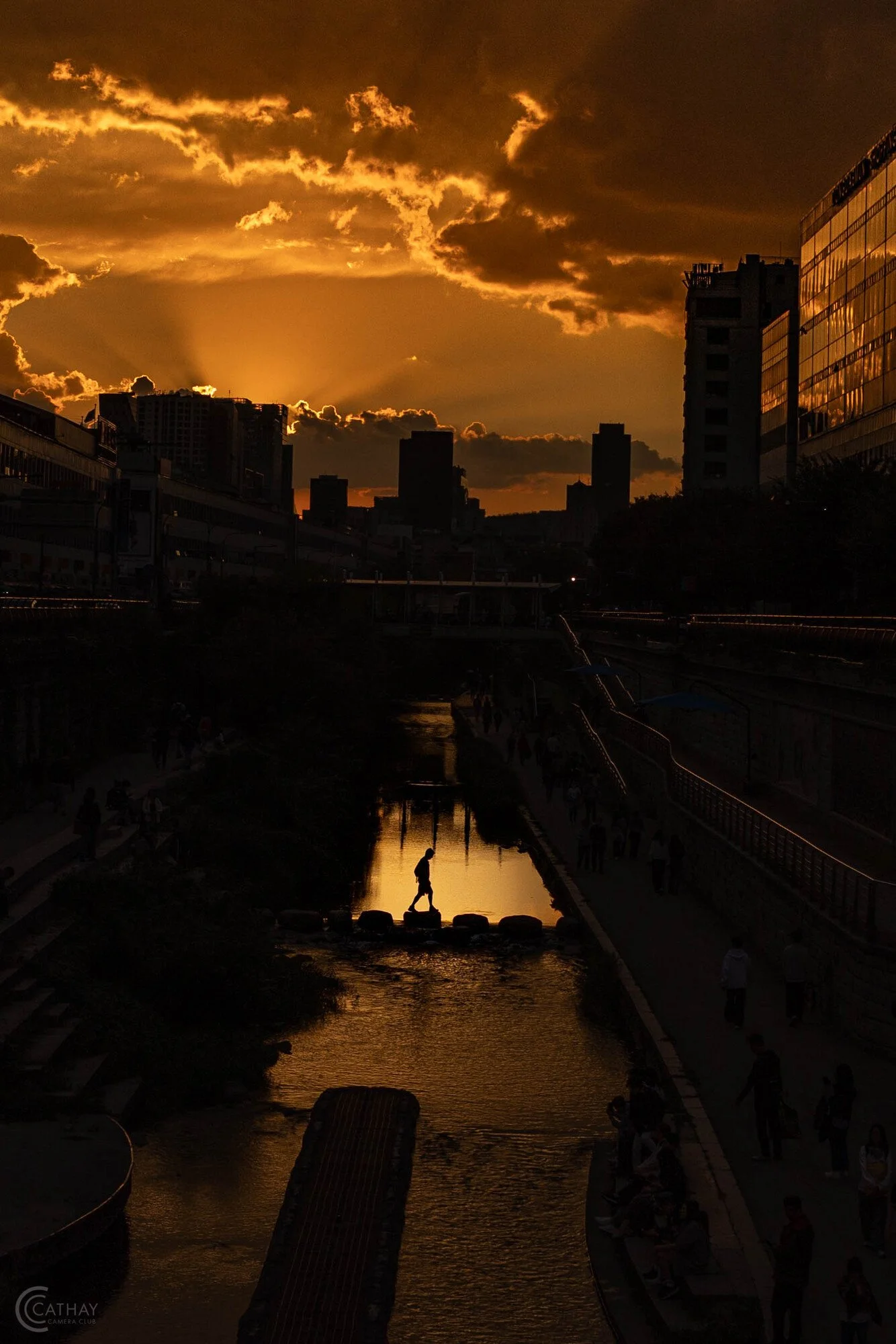 "The last of us" by Francesco Zappone