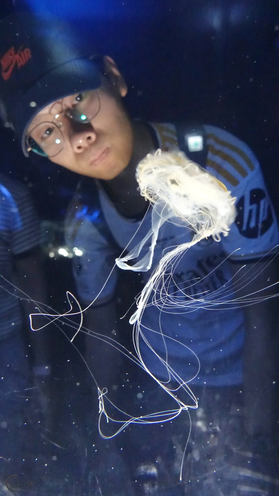 "Jellyfish" by William Tam