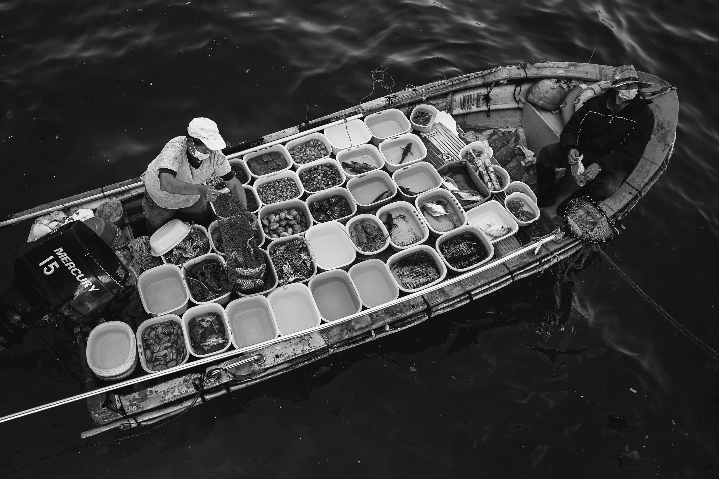 "Fresh From The Sea" by Divya Umesh