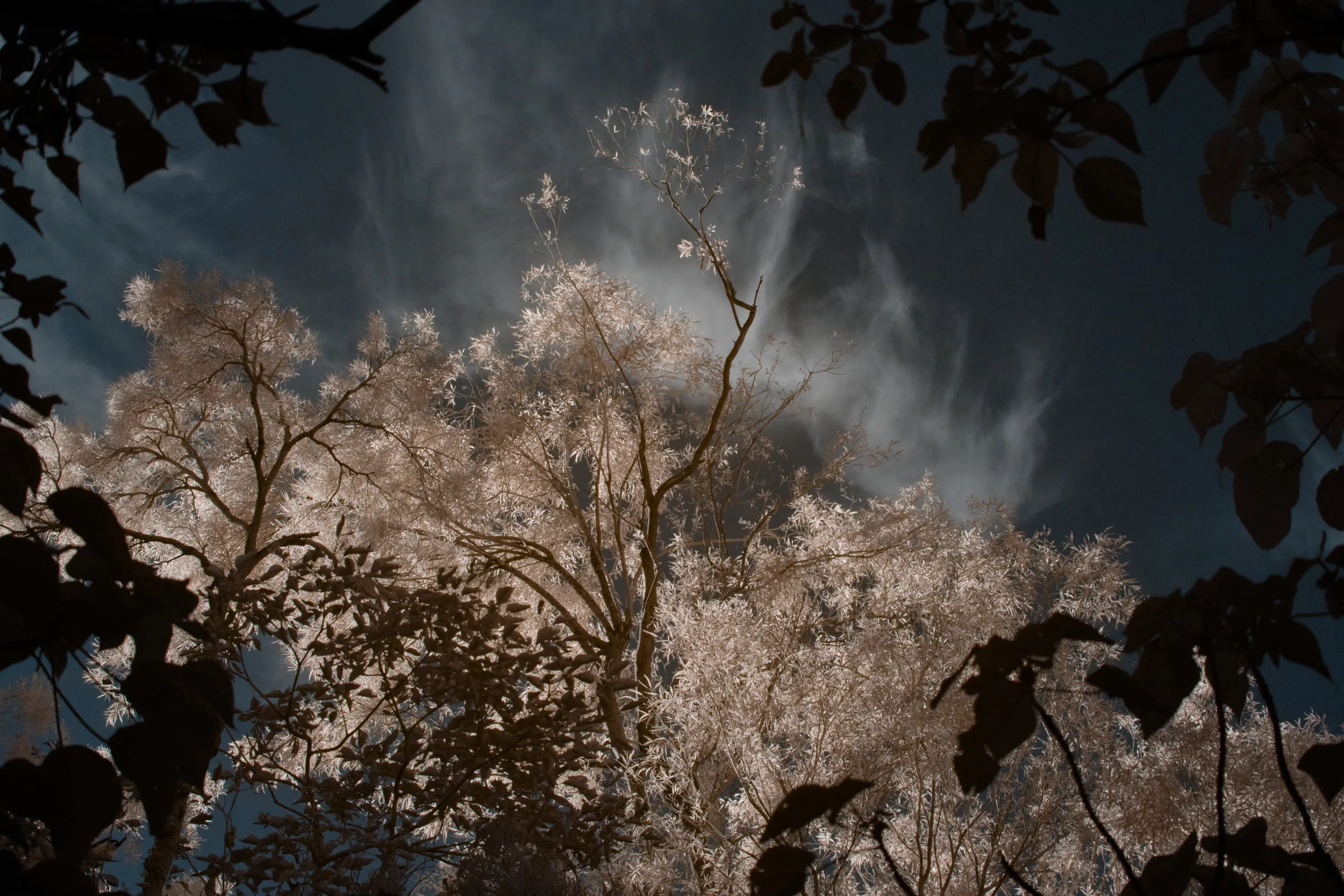 "Heavenly Lights" by Tim Saxon